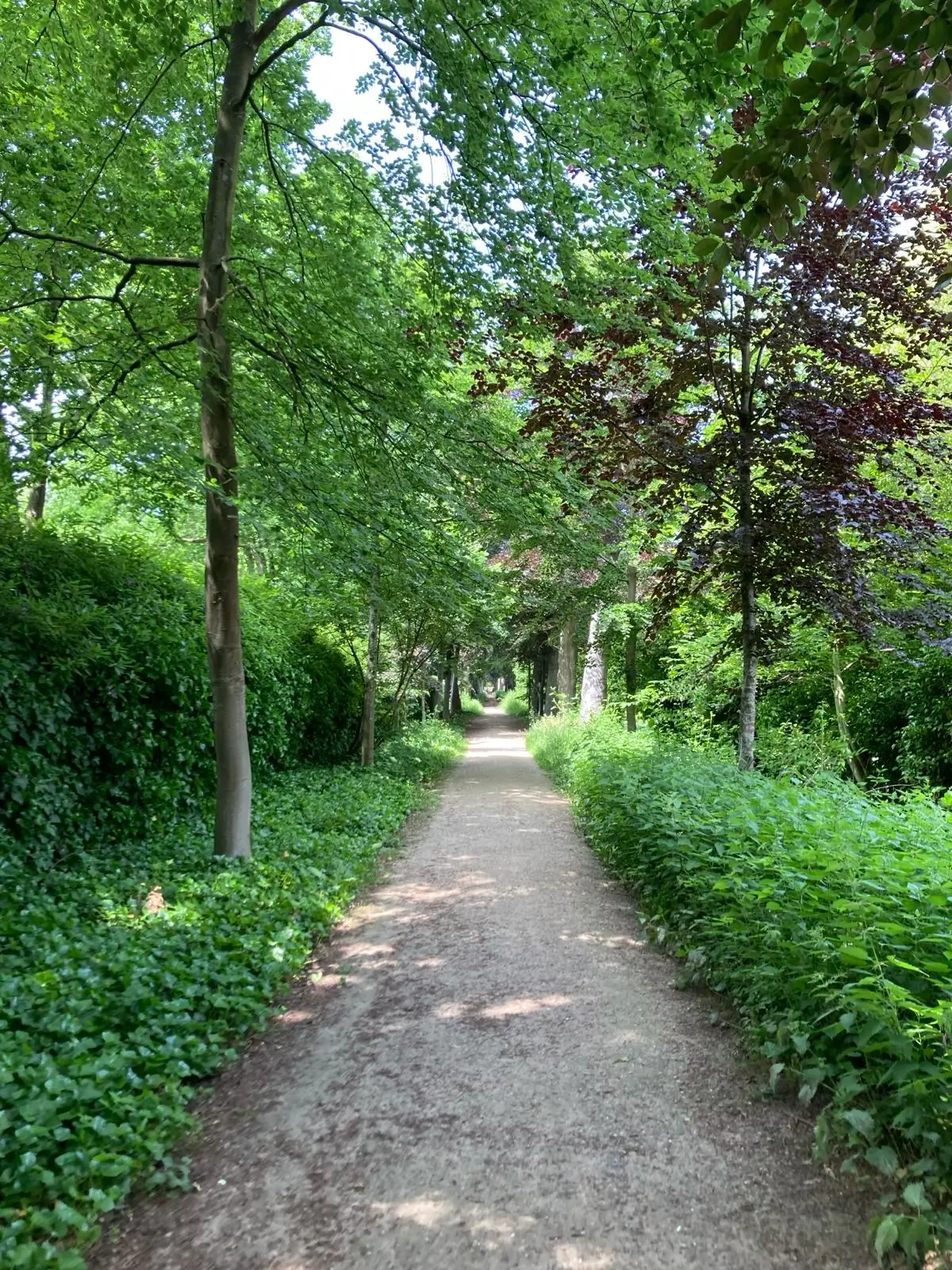 Wandeling afbeelding