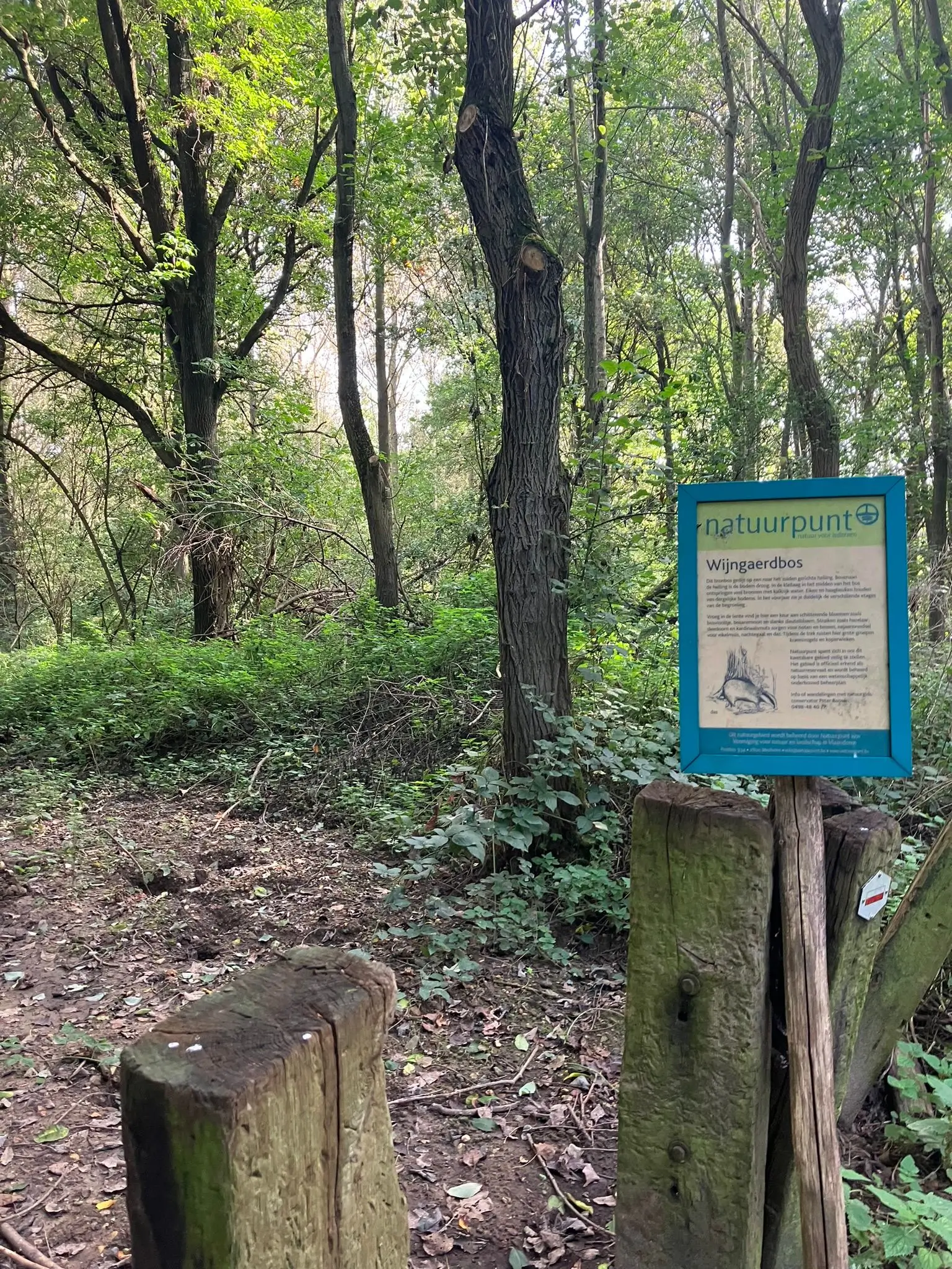 Wandeling afbeelding