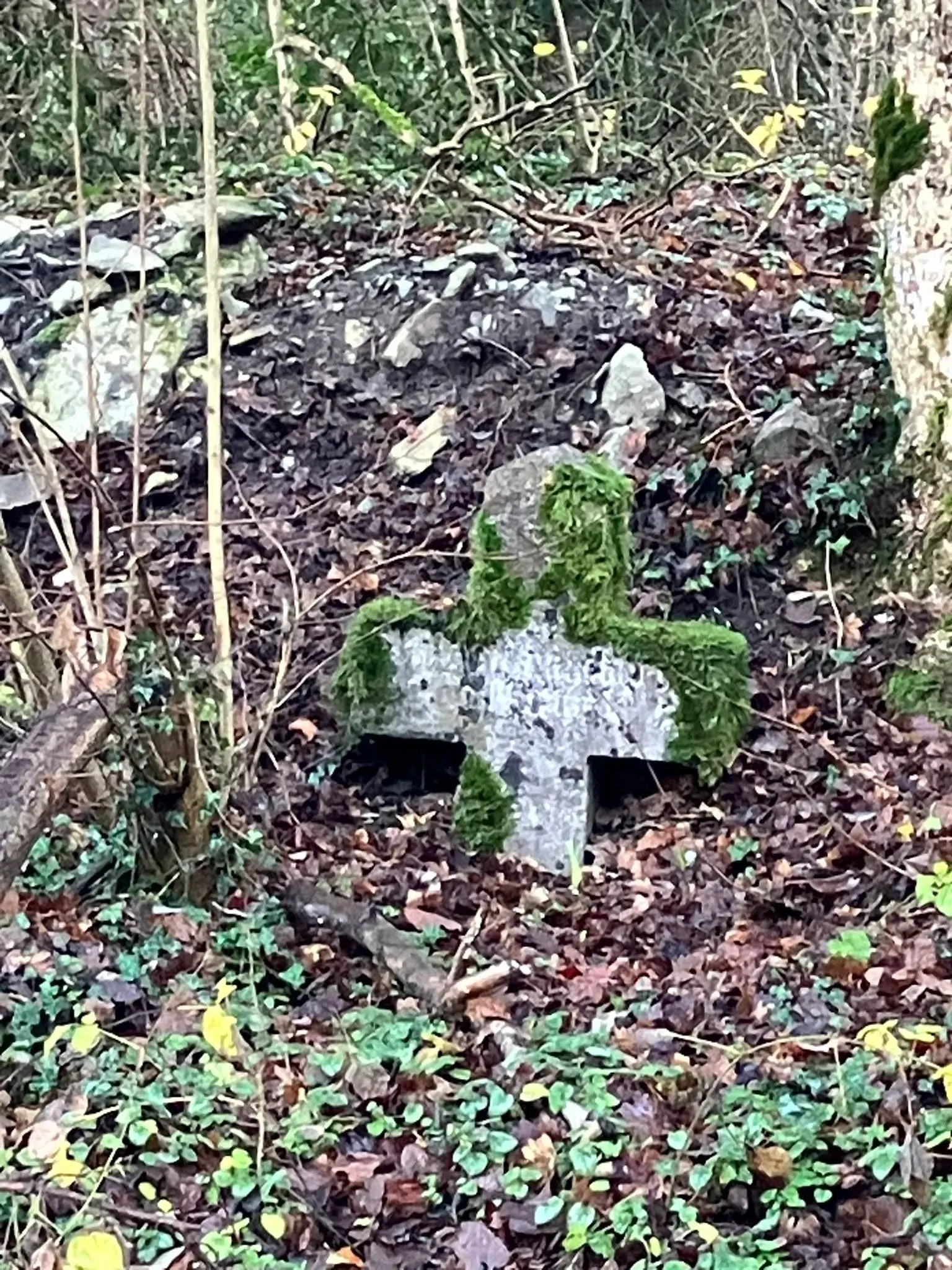 Wandeling afbeelding