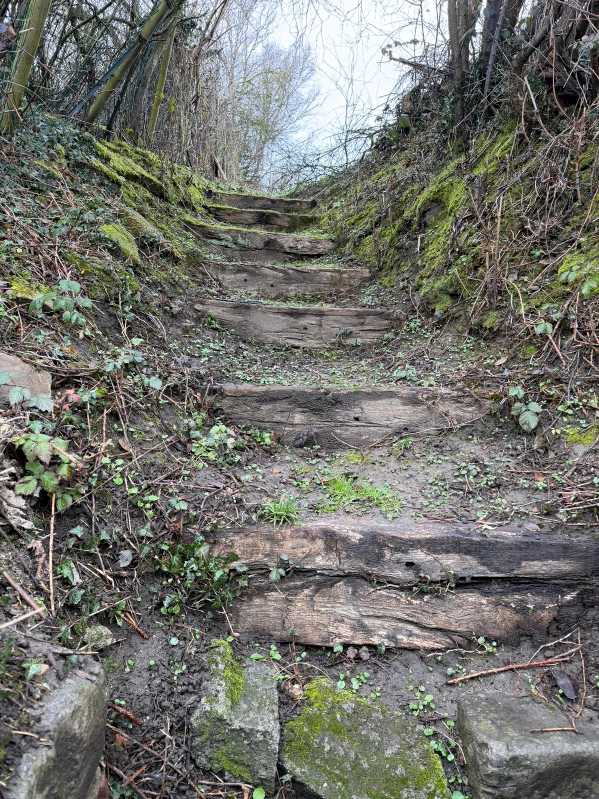 Wandeling afbeelding