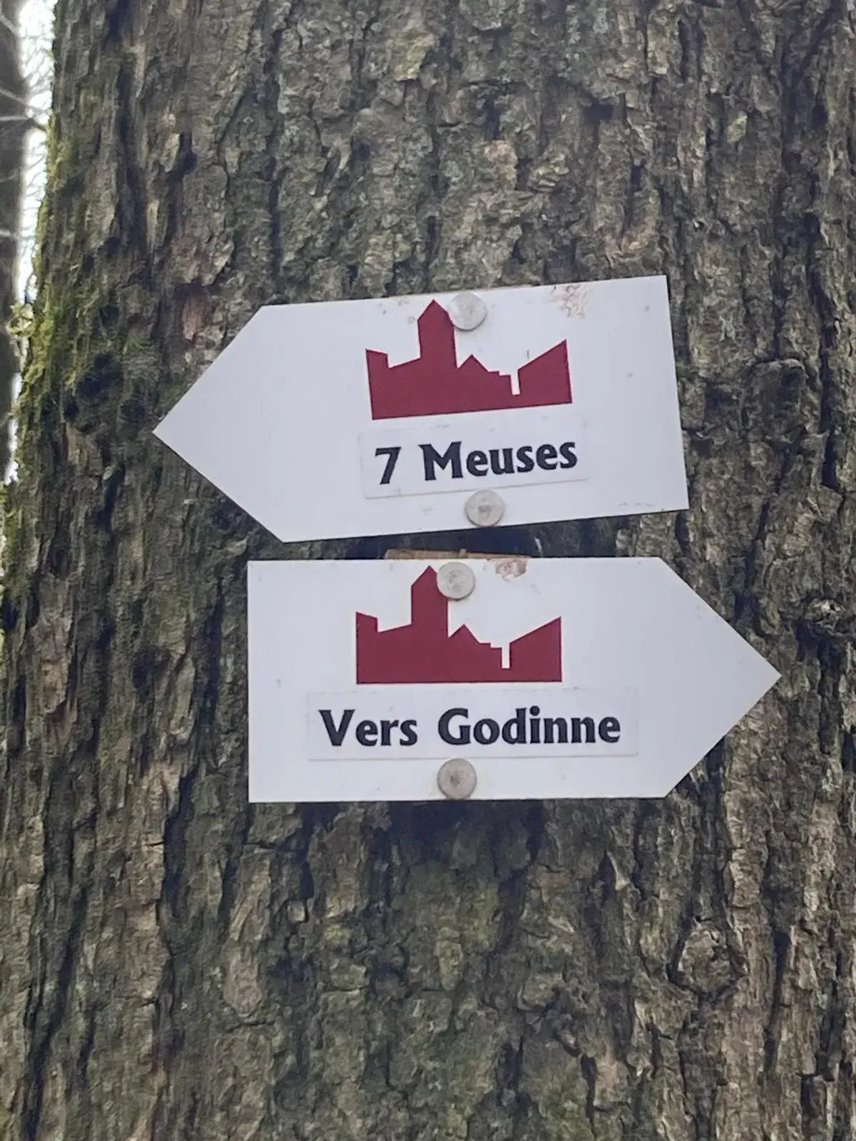 Wandeling afbeelding