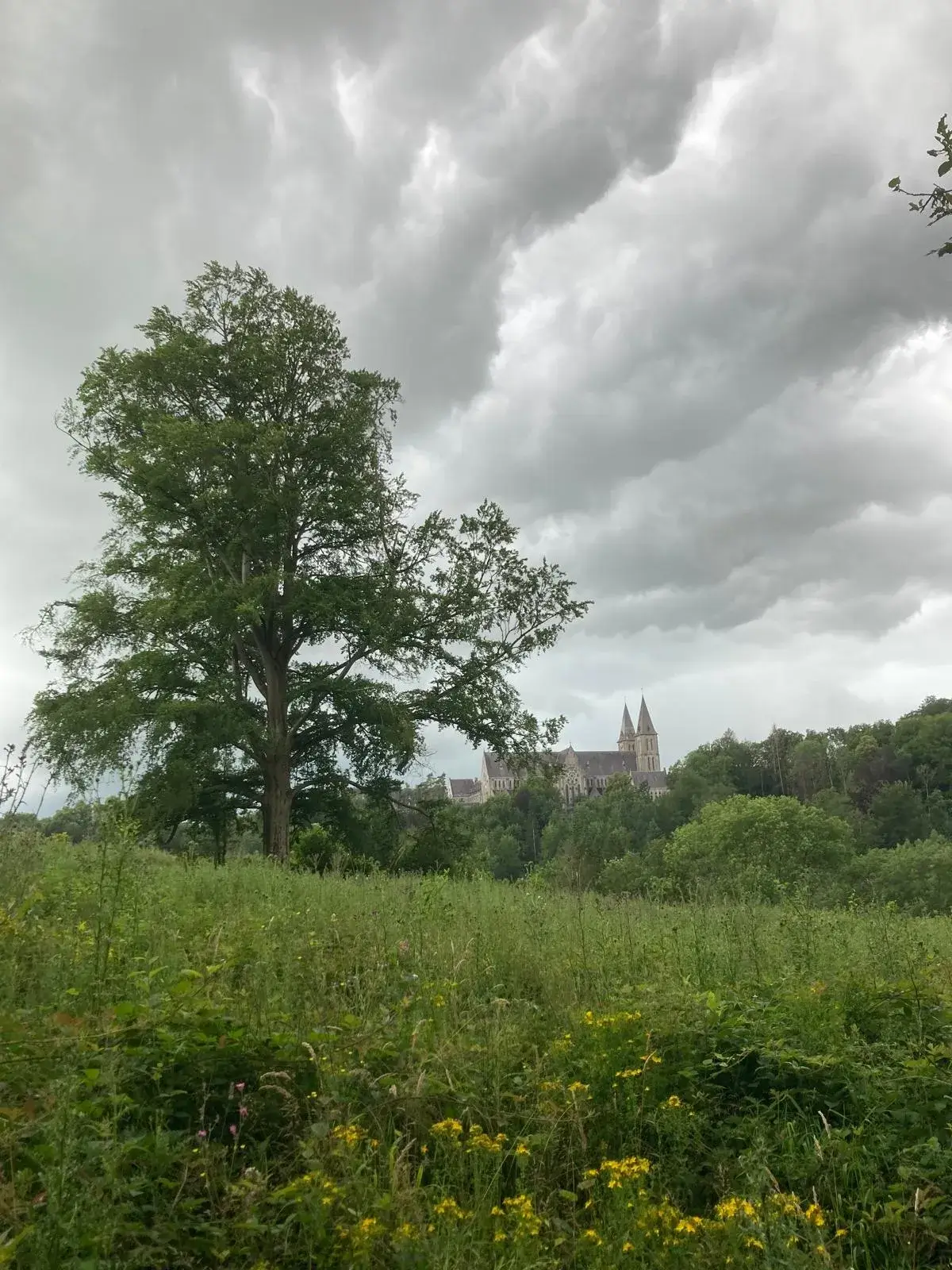 Wandeling afbeelding