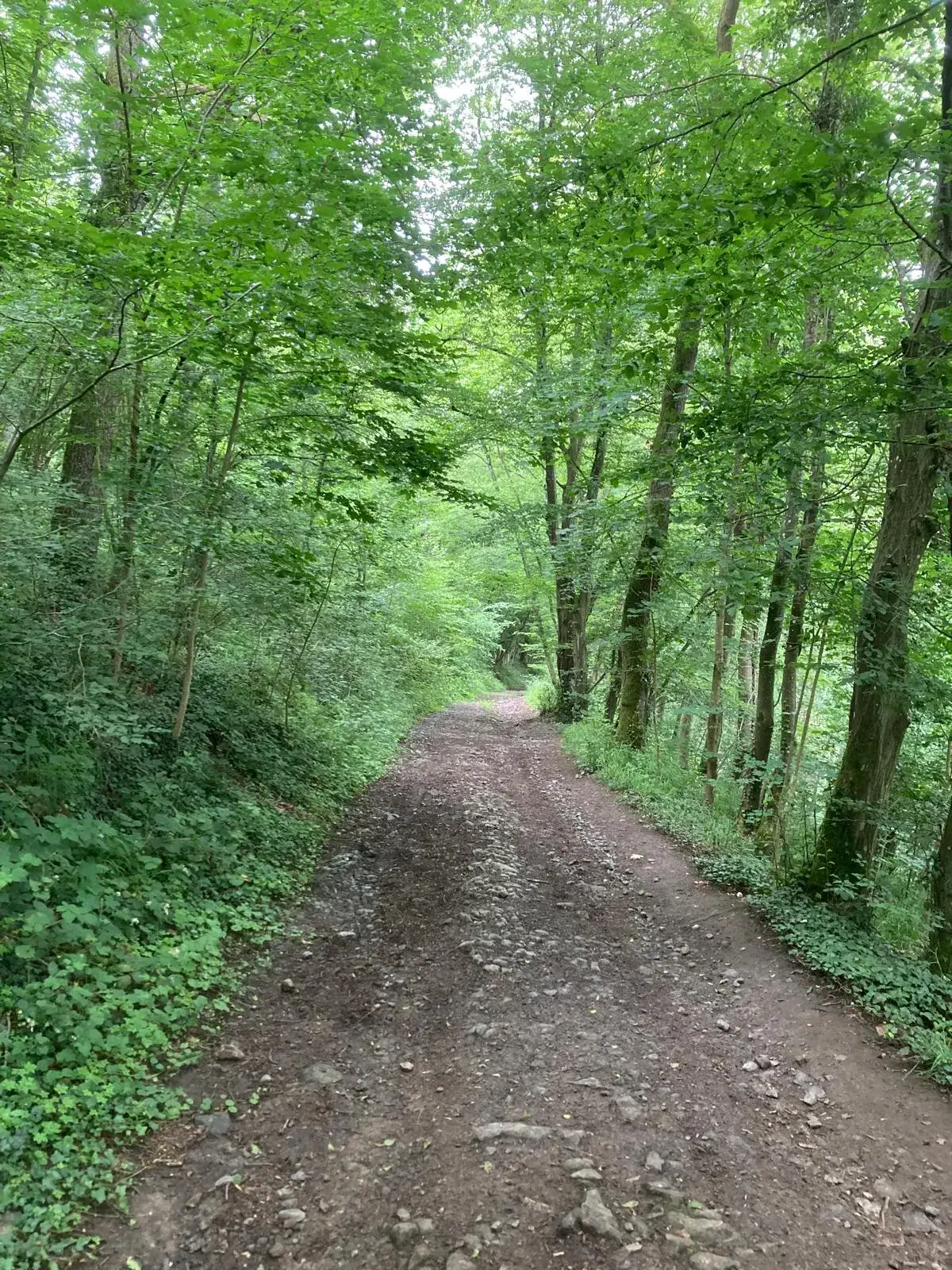 Wandeling afbeelding