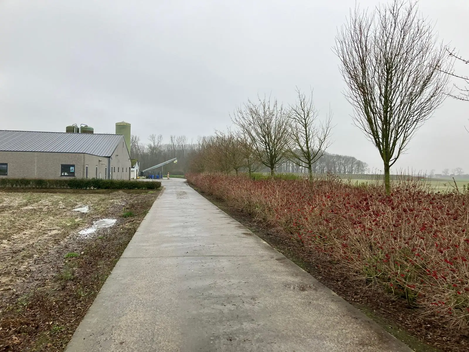 Wandeling afbeelding