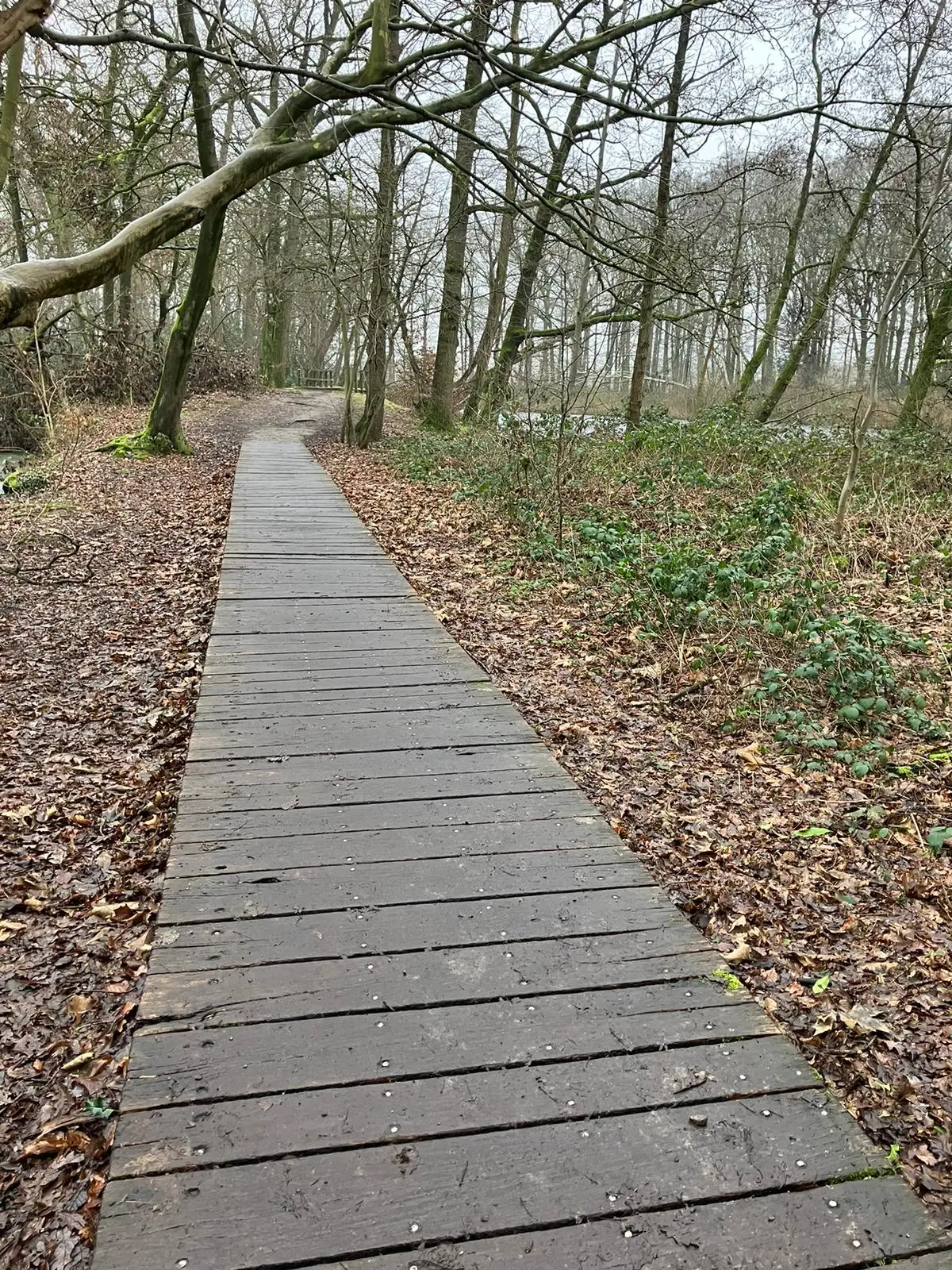 Wandeling afbeelding