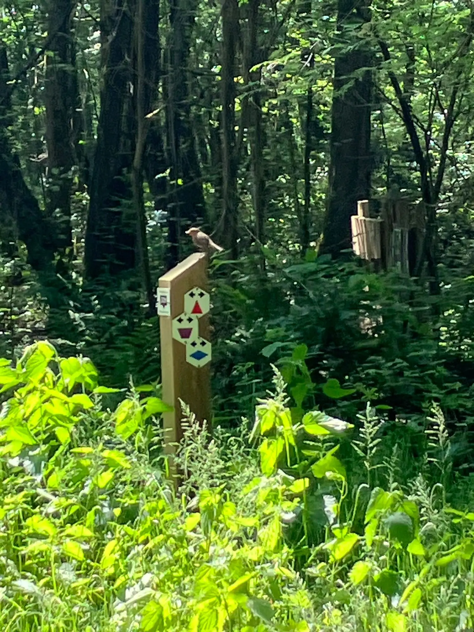 Wandeling afbeelding