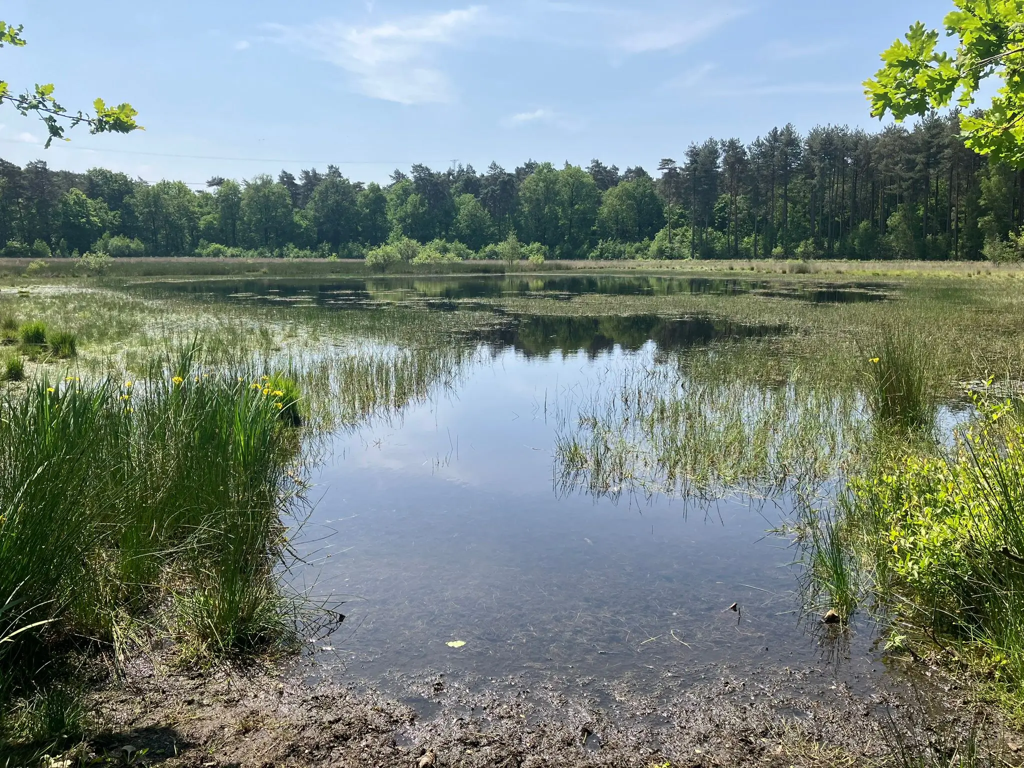 Wandeling afbeelding