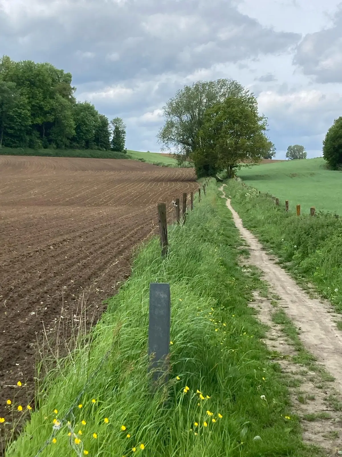 Wandeling afbeelding