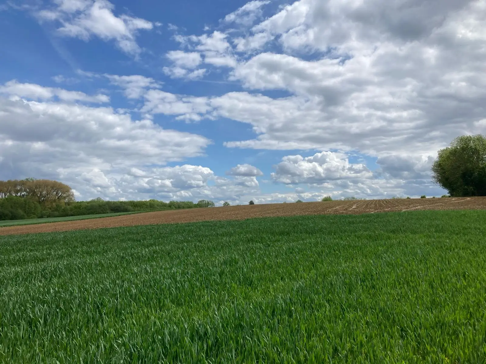Wandeling afbeelding