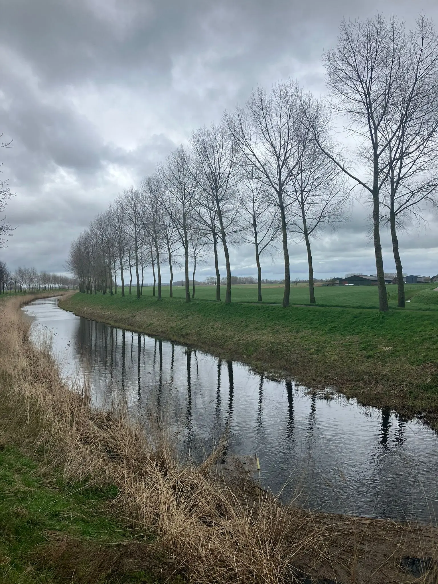 Wandeling afbeelding