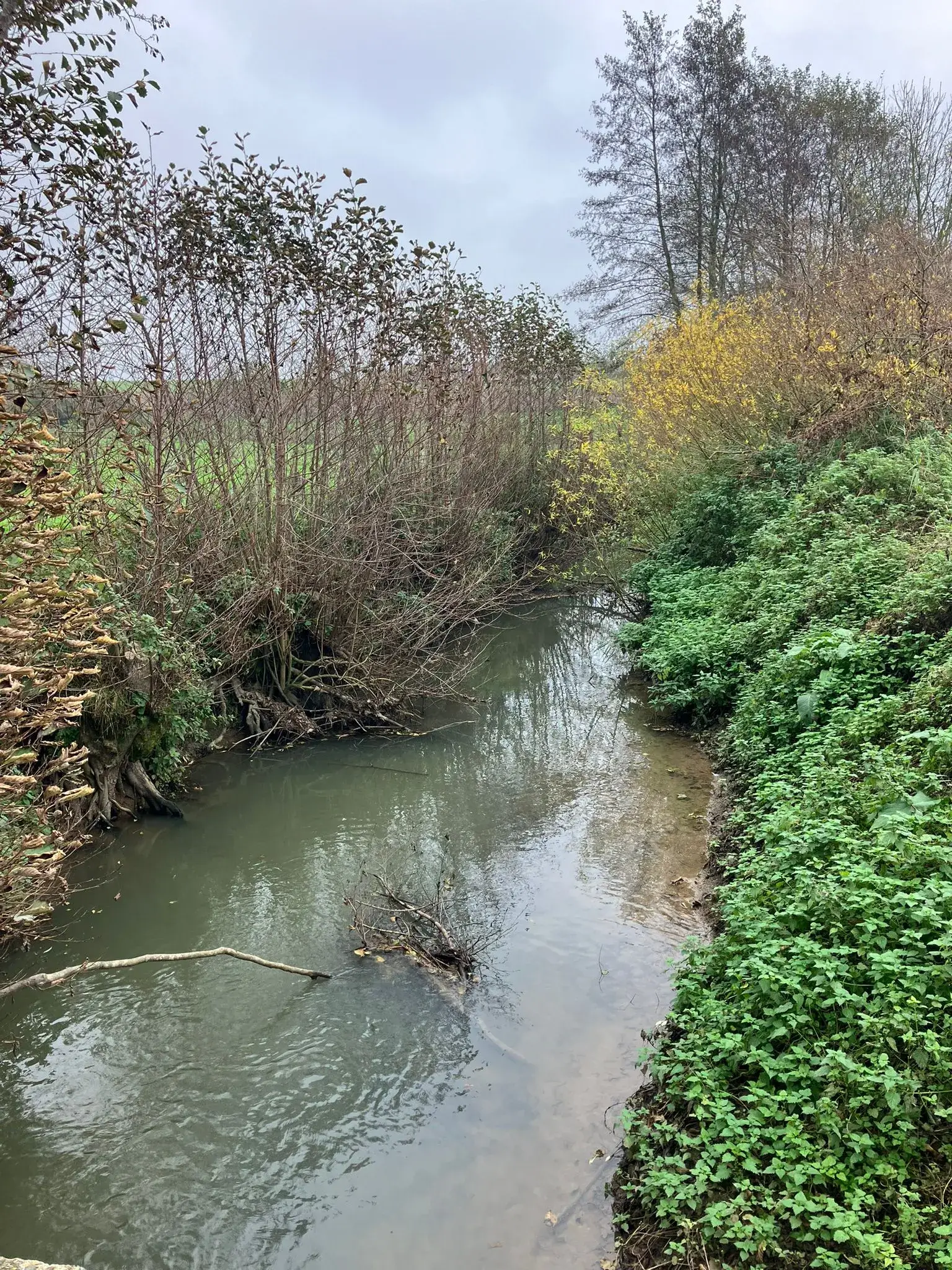 Wandeling afbeelding
