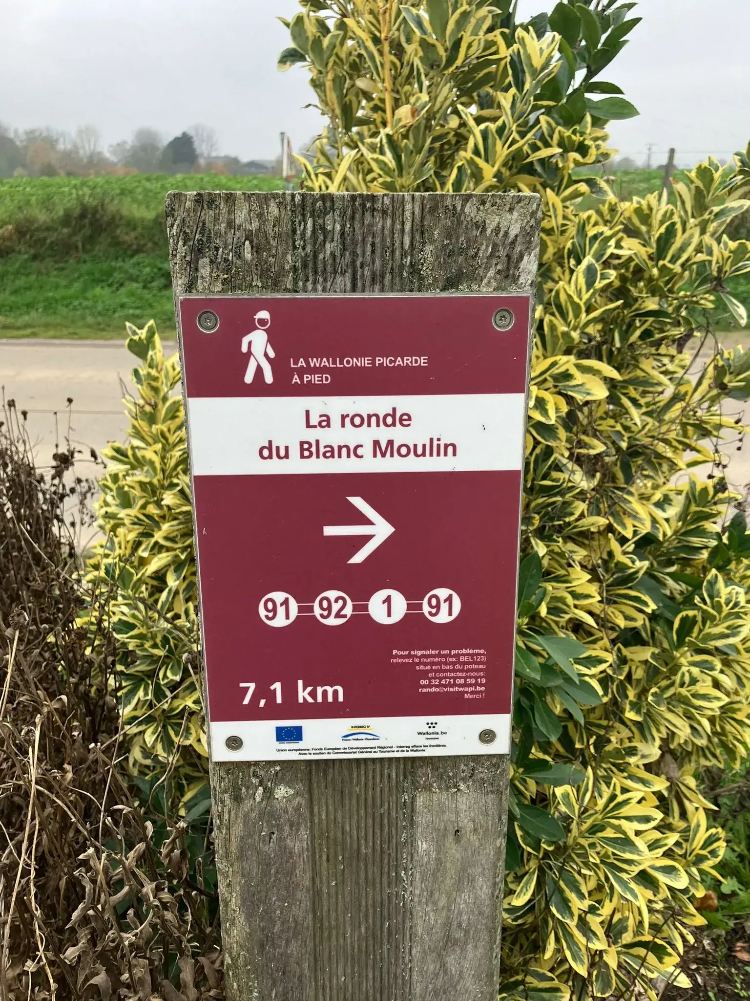 Wandeling afbeelding