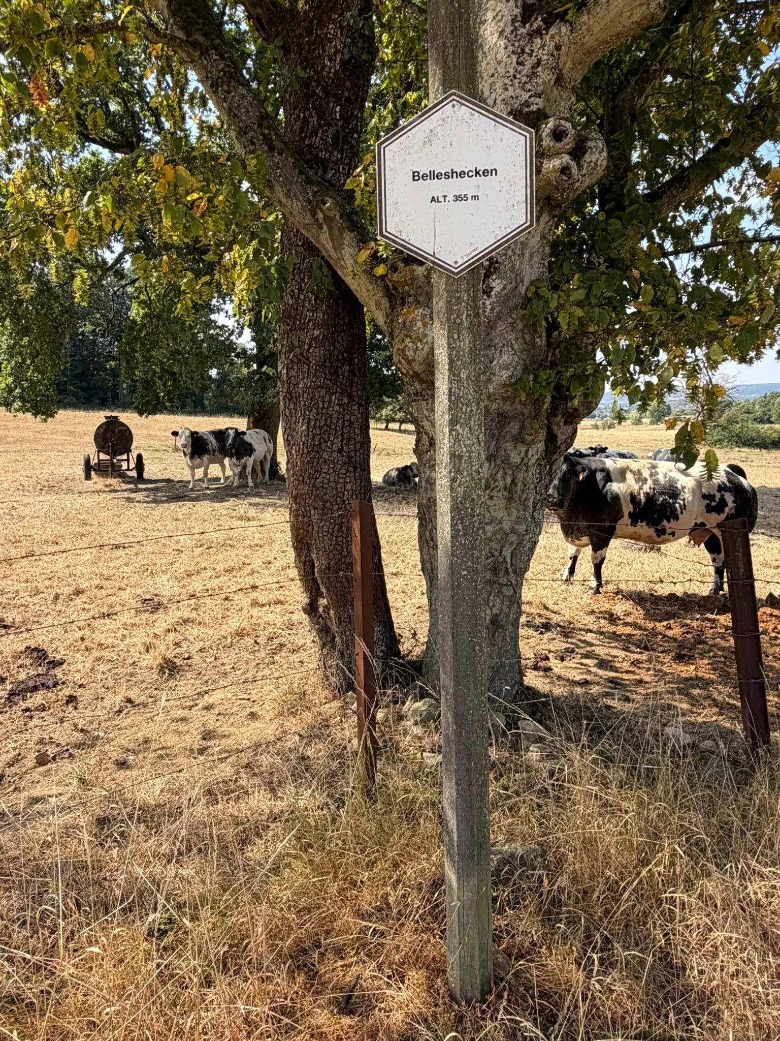 Wandeling afbeelding