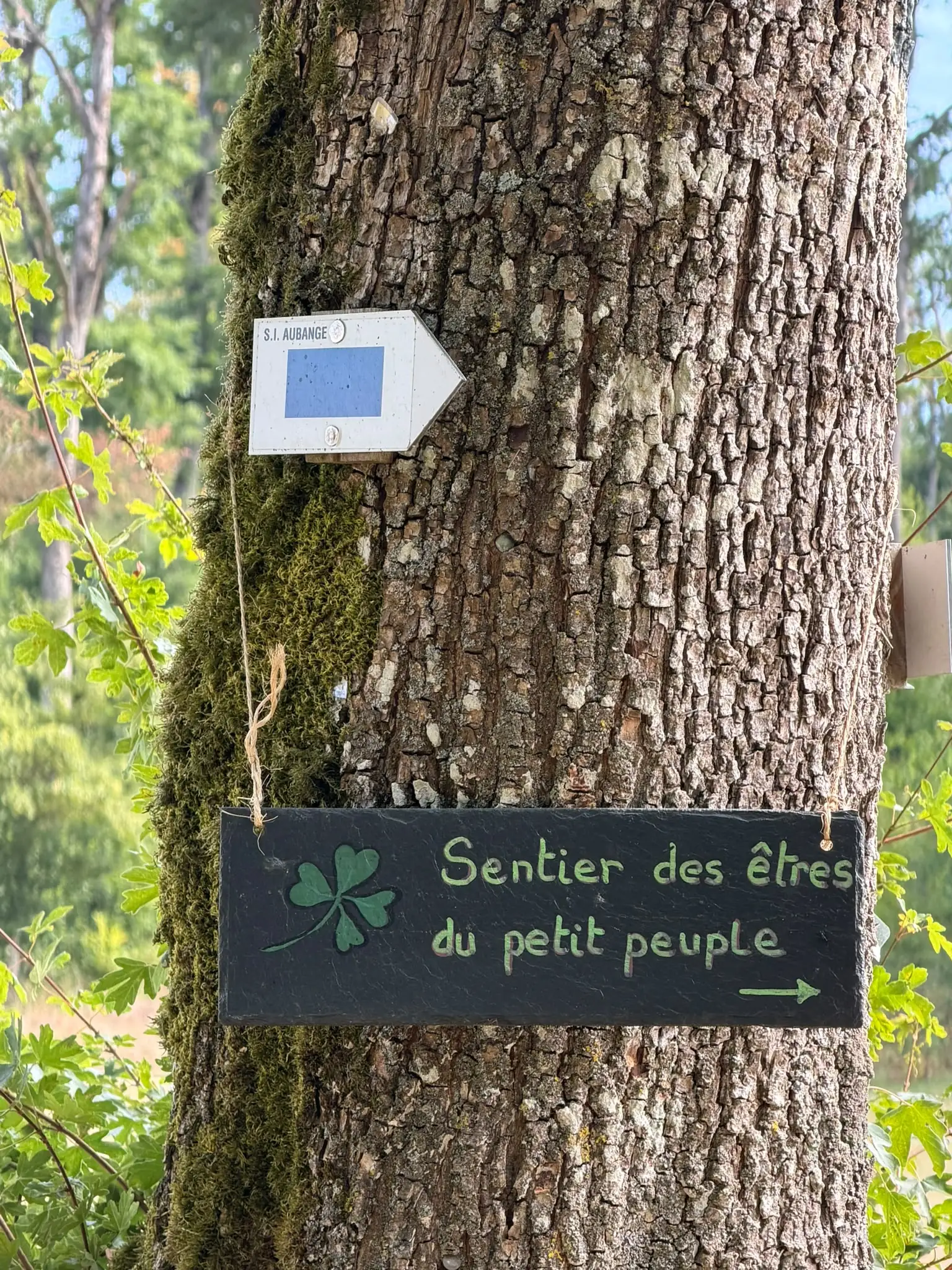 Wandeling afbeelding