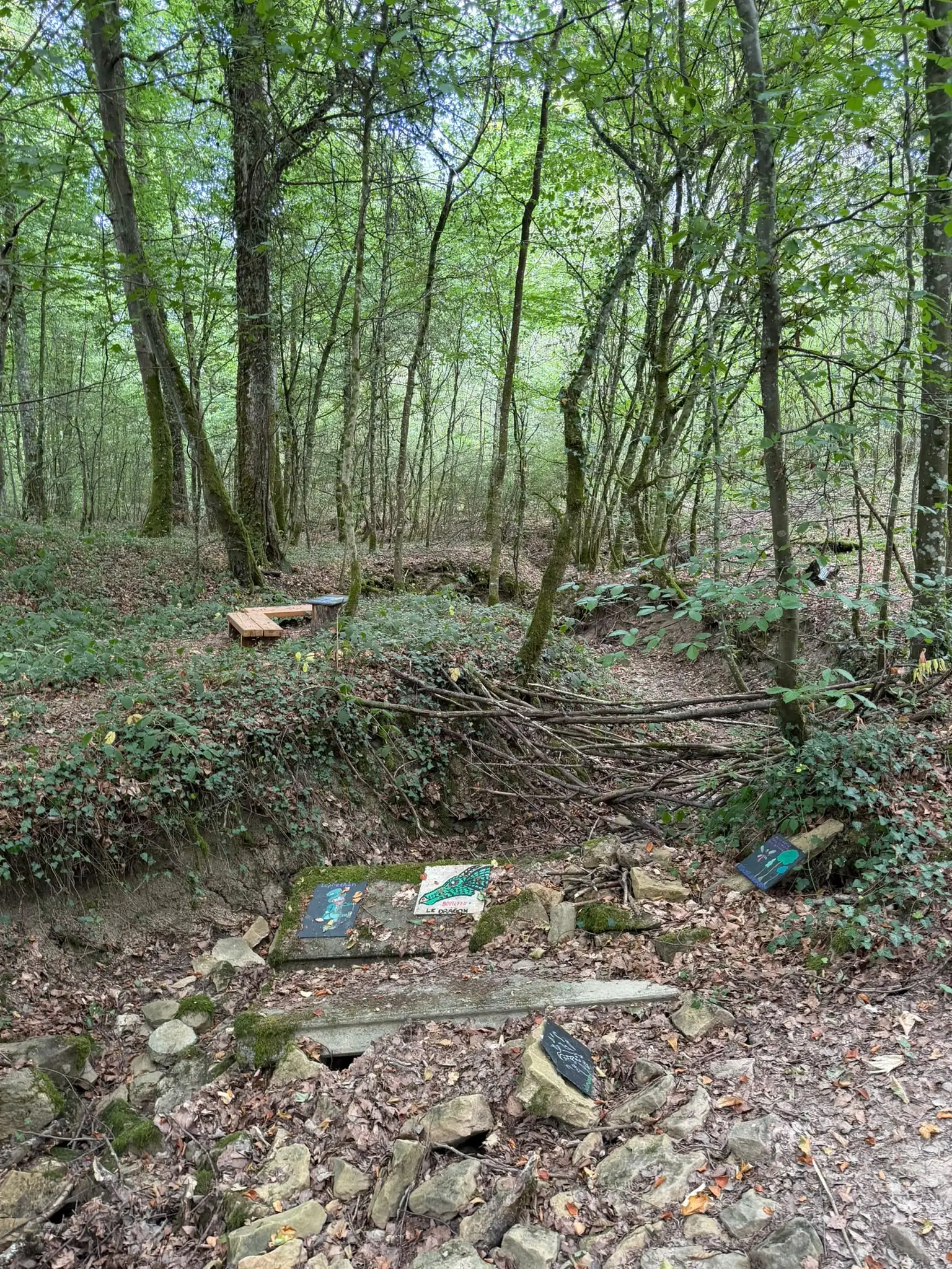 Wandeling afbeelding