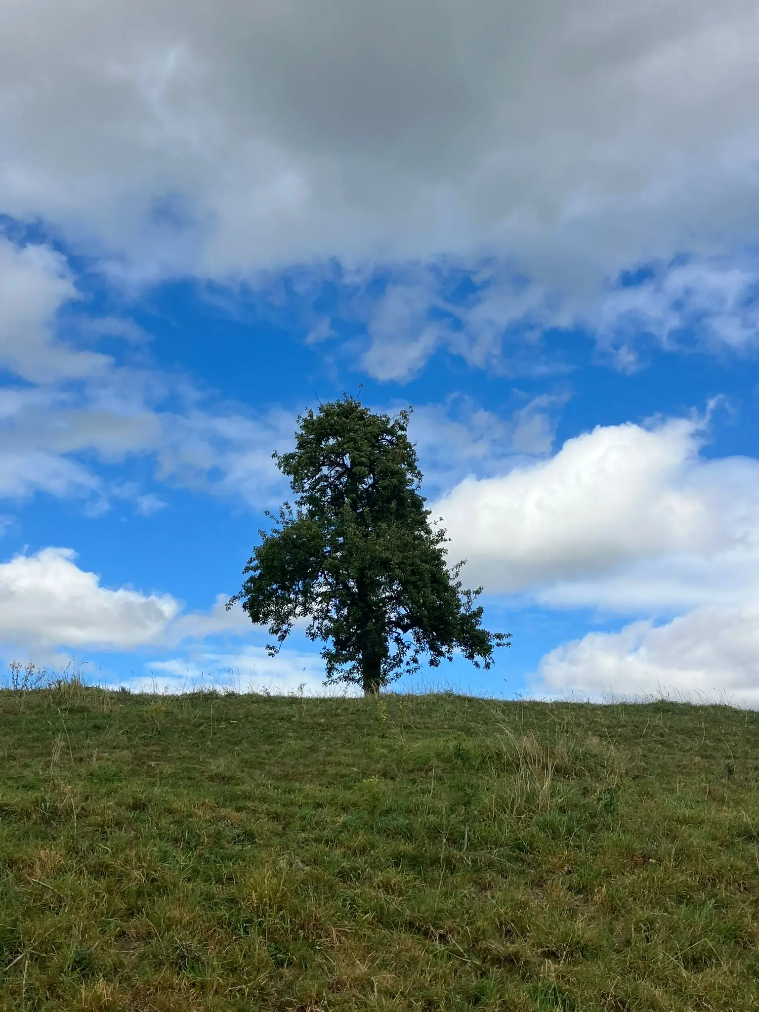Wandeling afbeelding