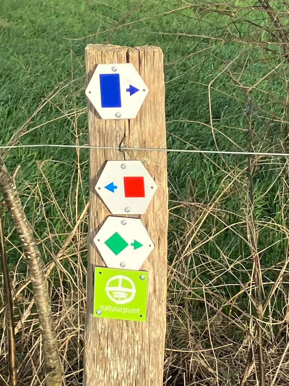 Wandeling afbeelding