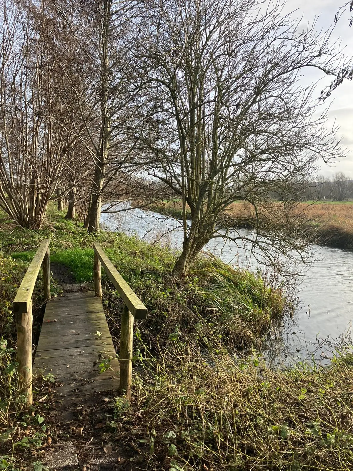 Wandeling afbeelding