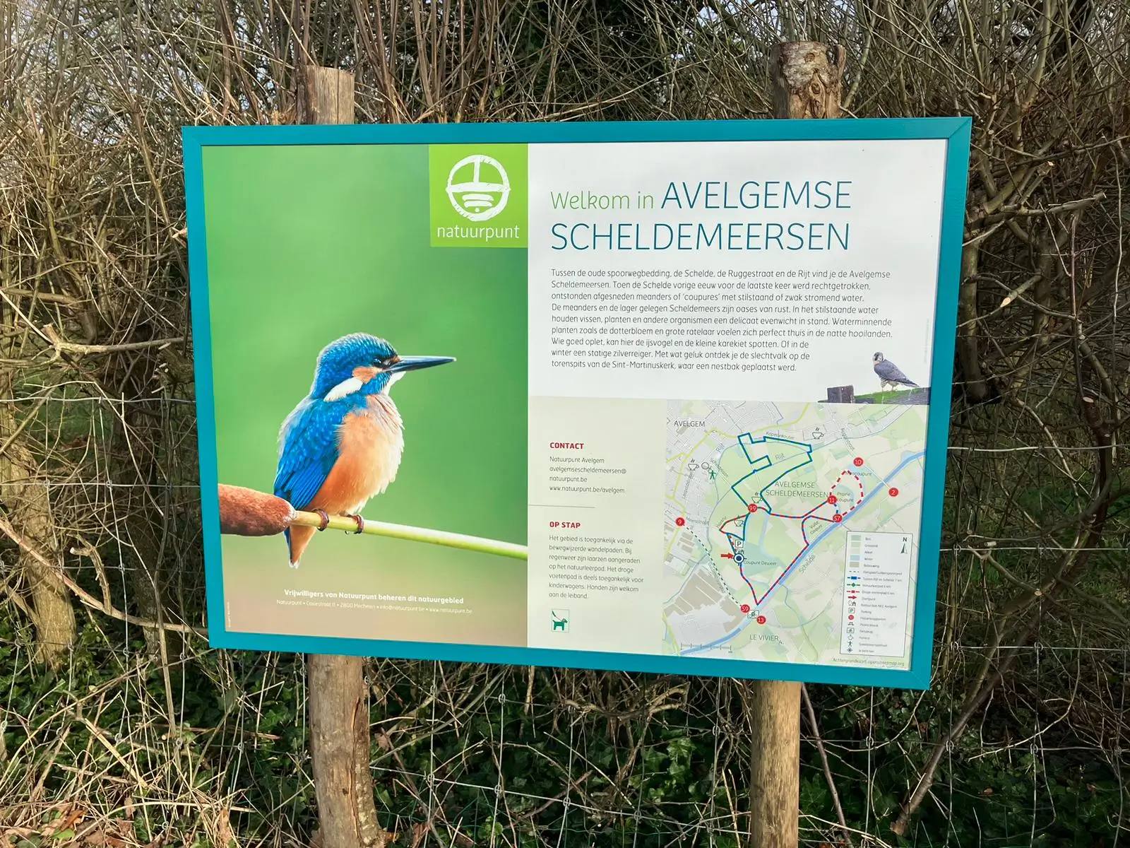 Wandeling afbeelding