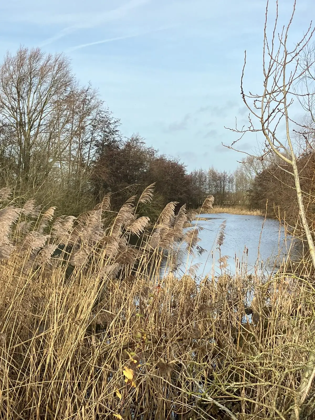 Wandeling afbeelding