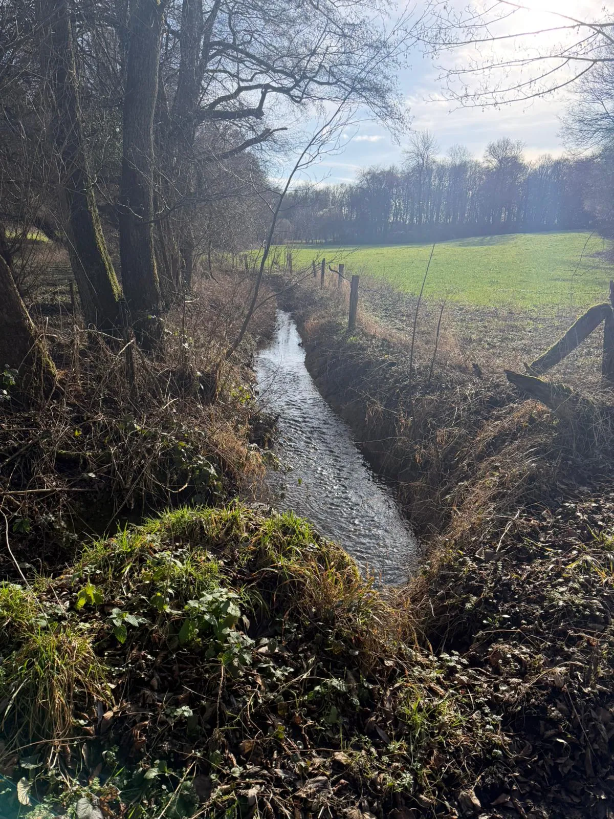 Wandeling afbeelding