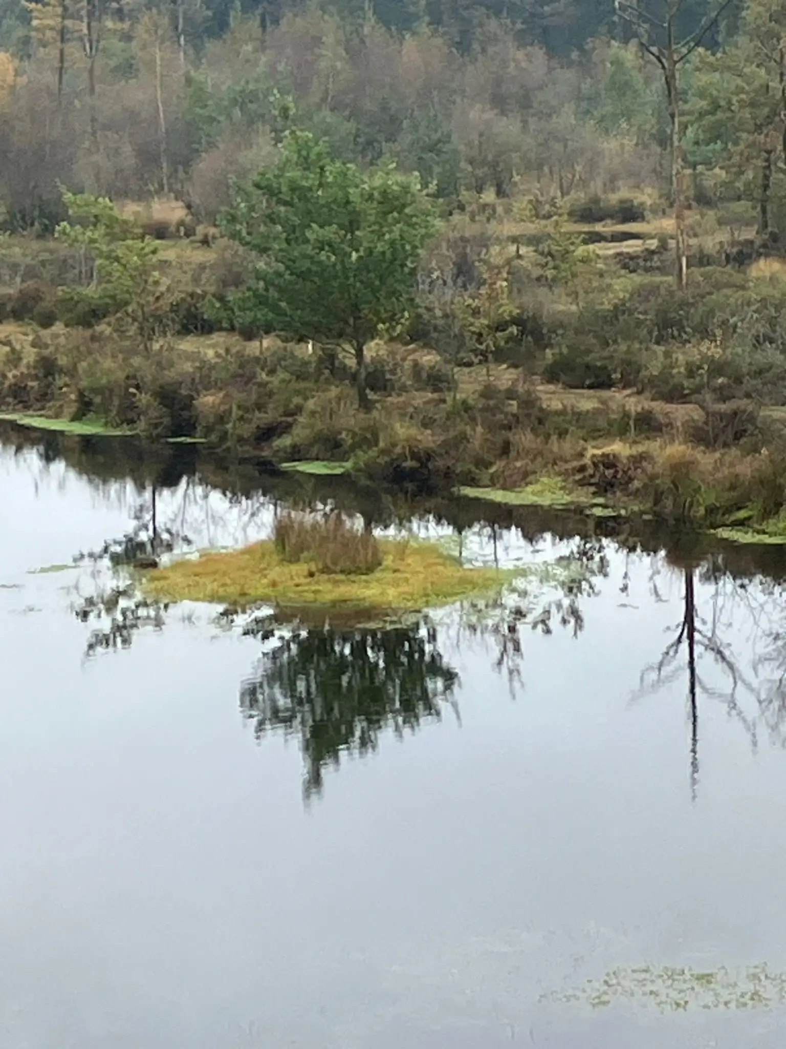 Wandeling afbeelding
