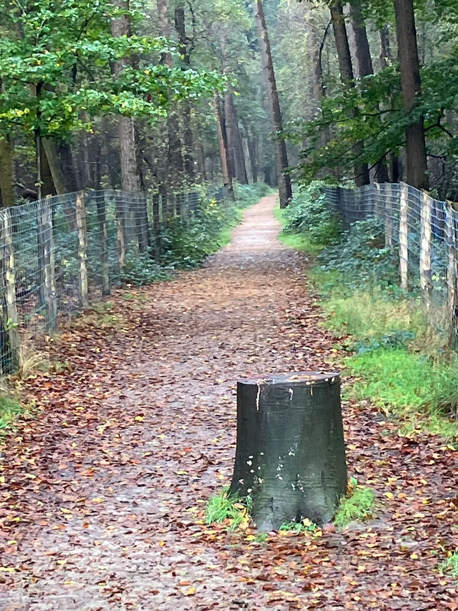 Wandeling afbeelding