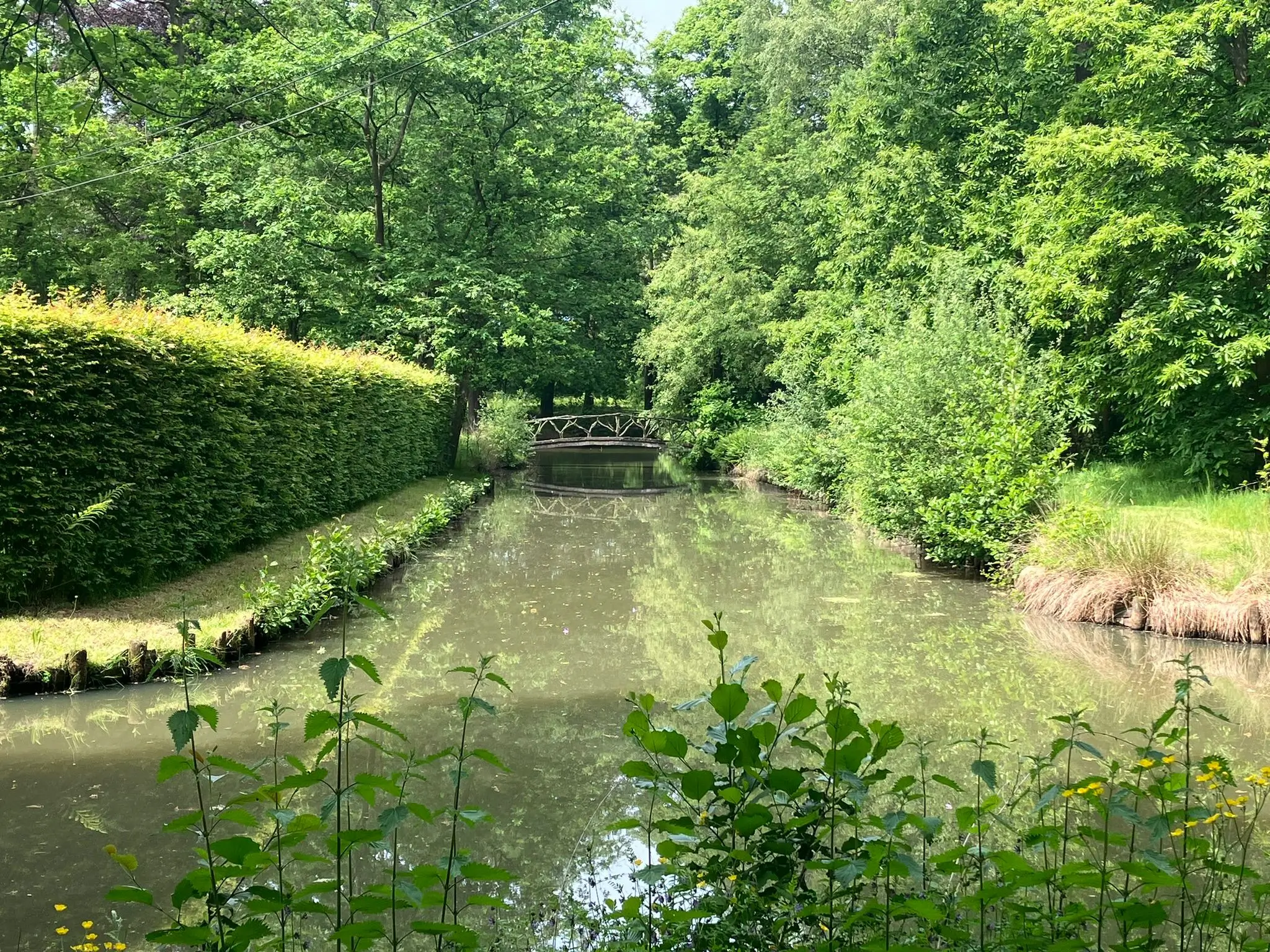 Wandeling afbeelding