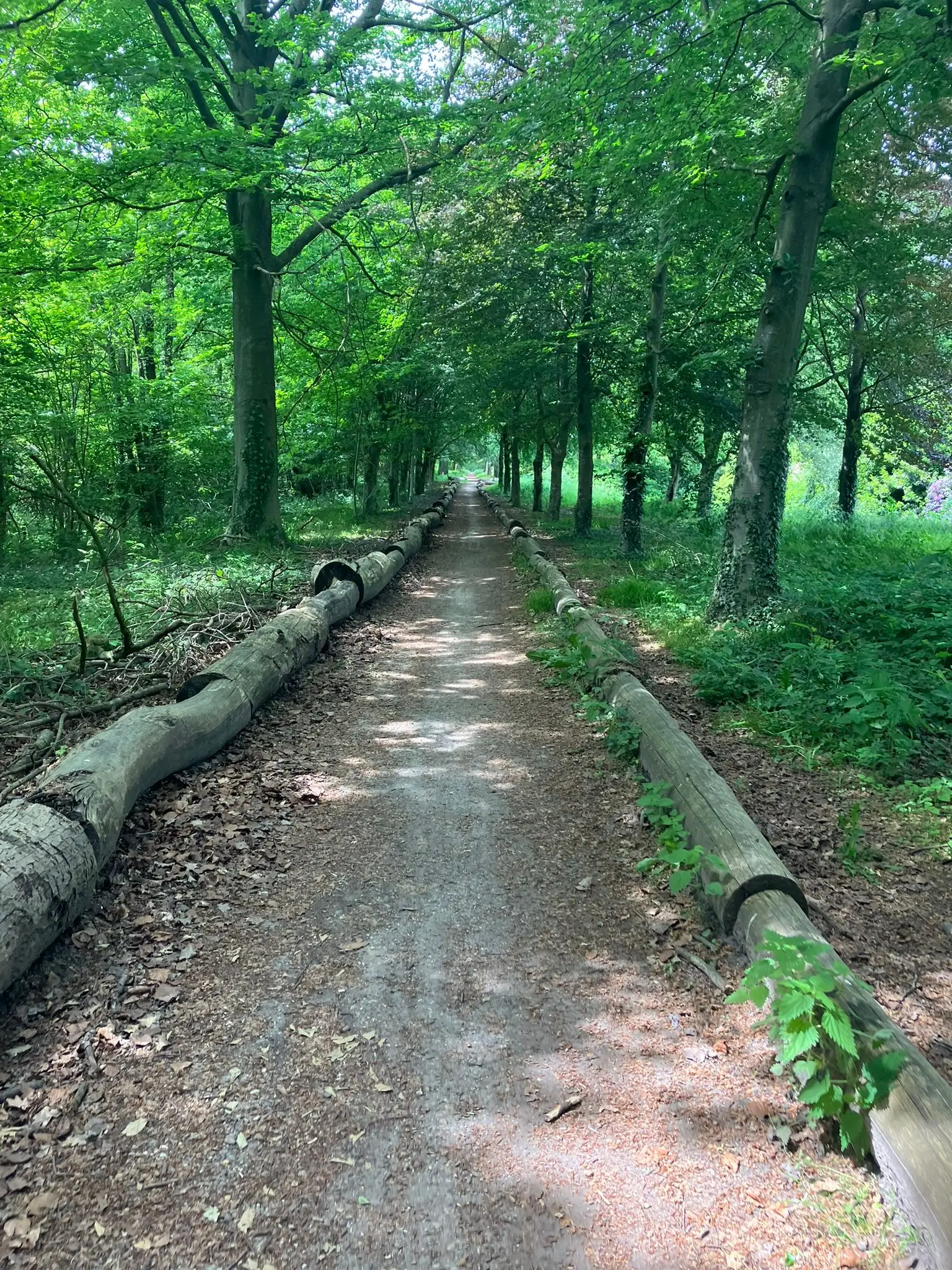 Wandeling afbeelding