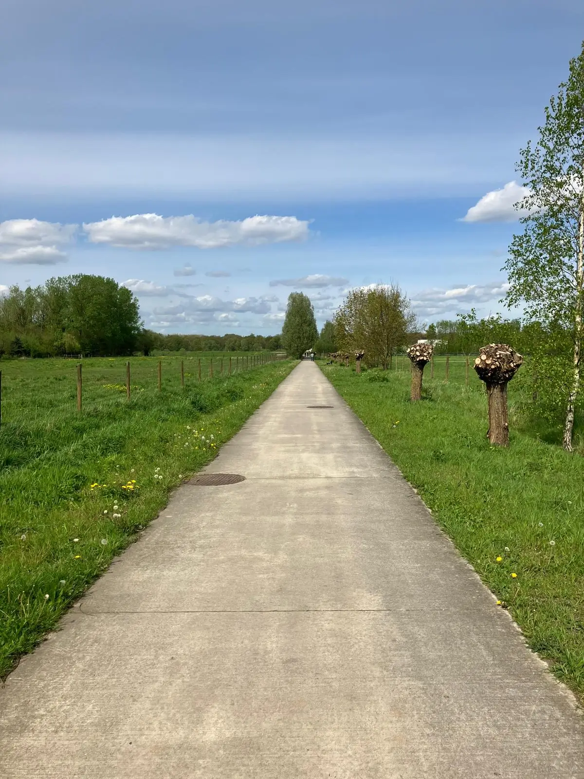 Wandeling afbeelding