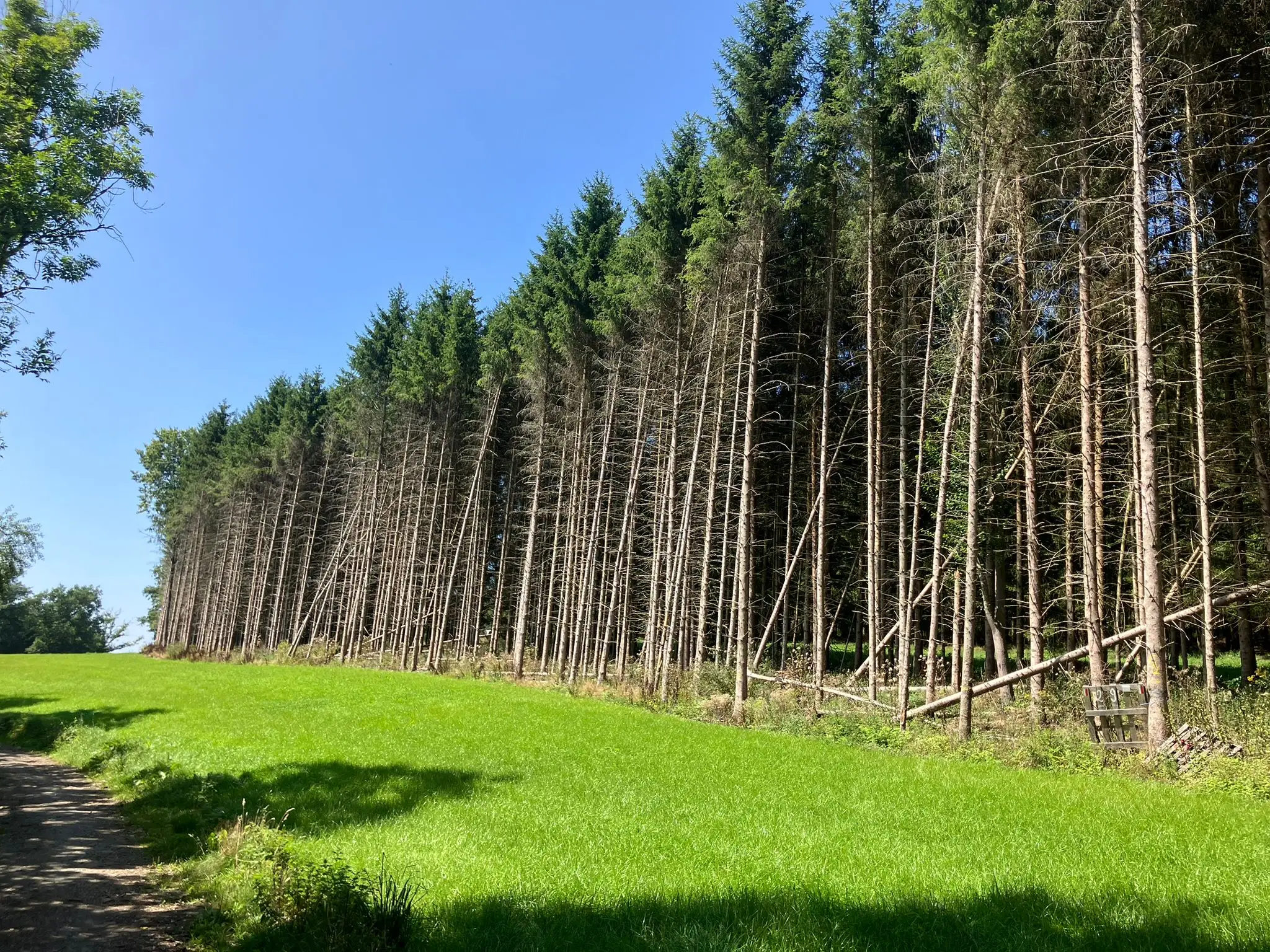 Wandeling afbeelding
