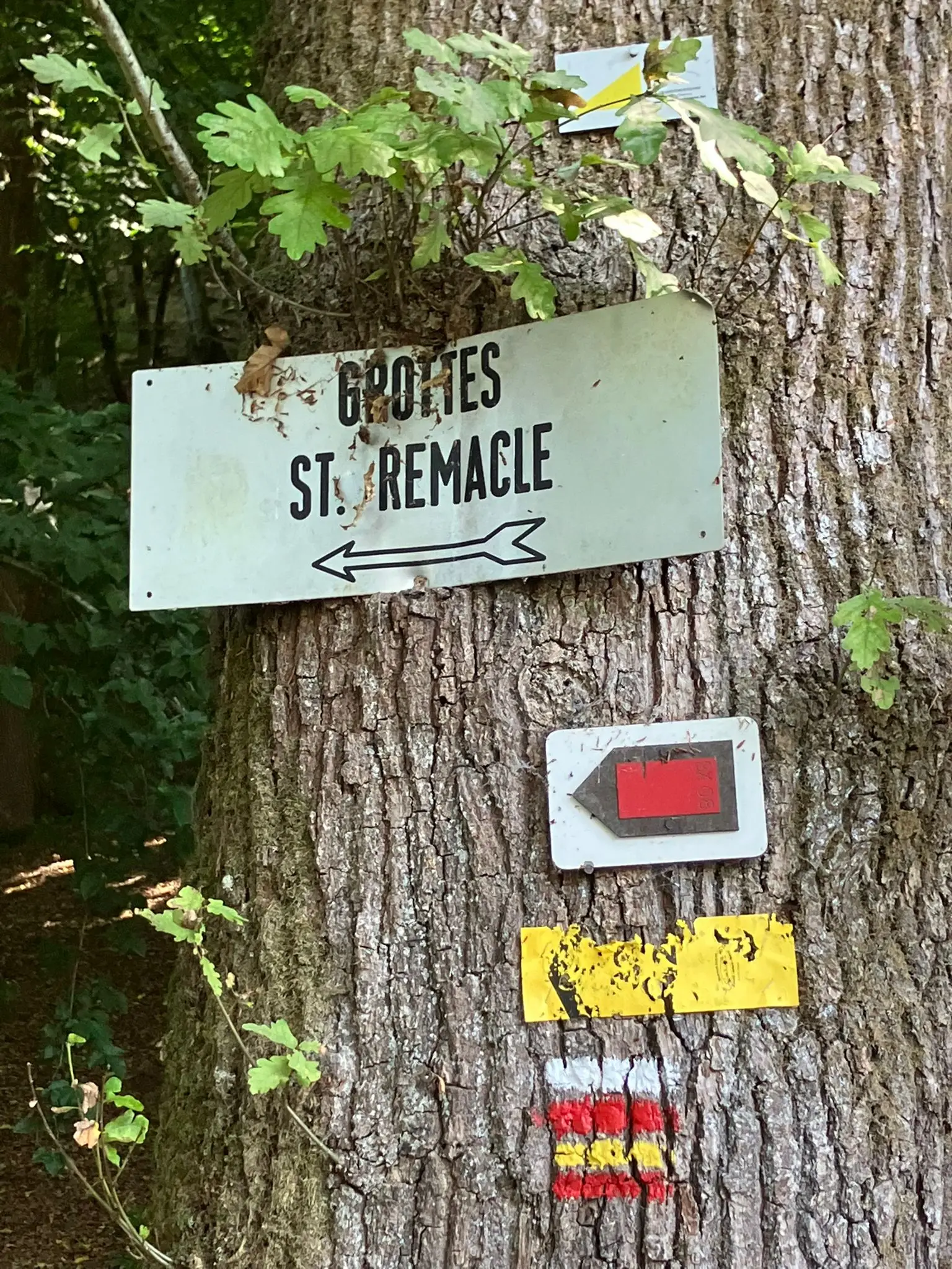 Wandeling afbeelding