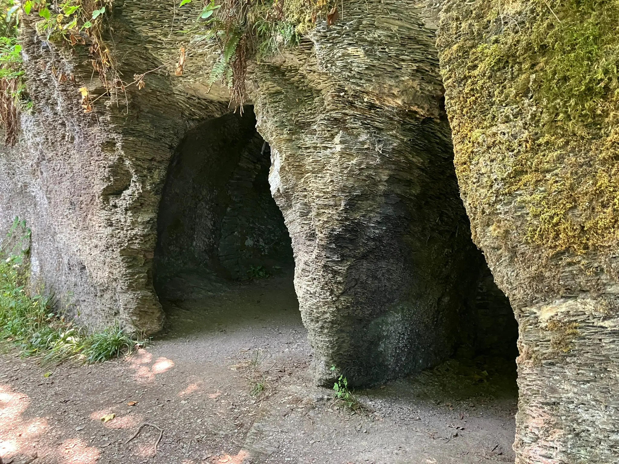 Wandeling afbeelding