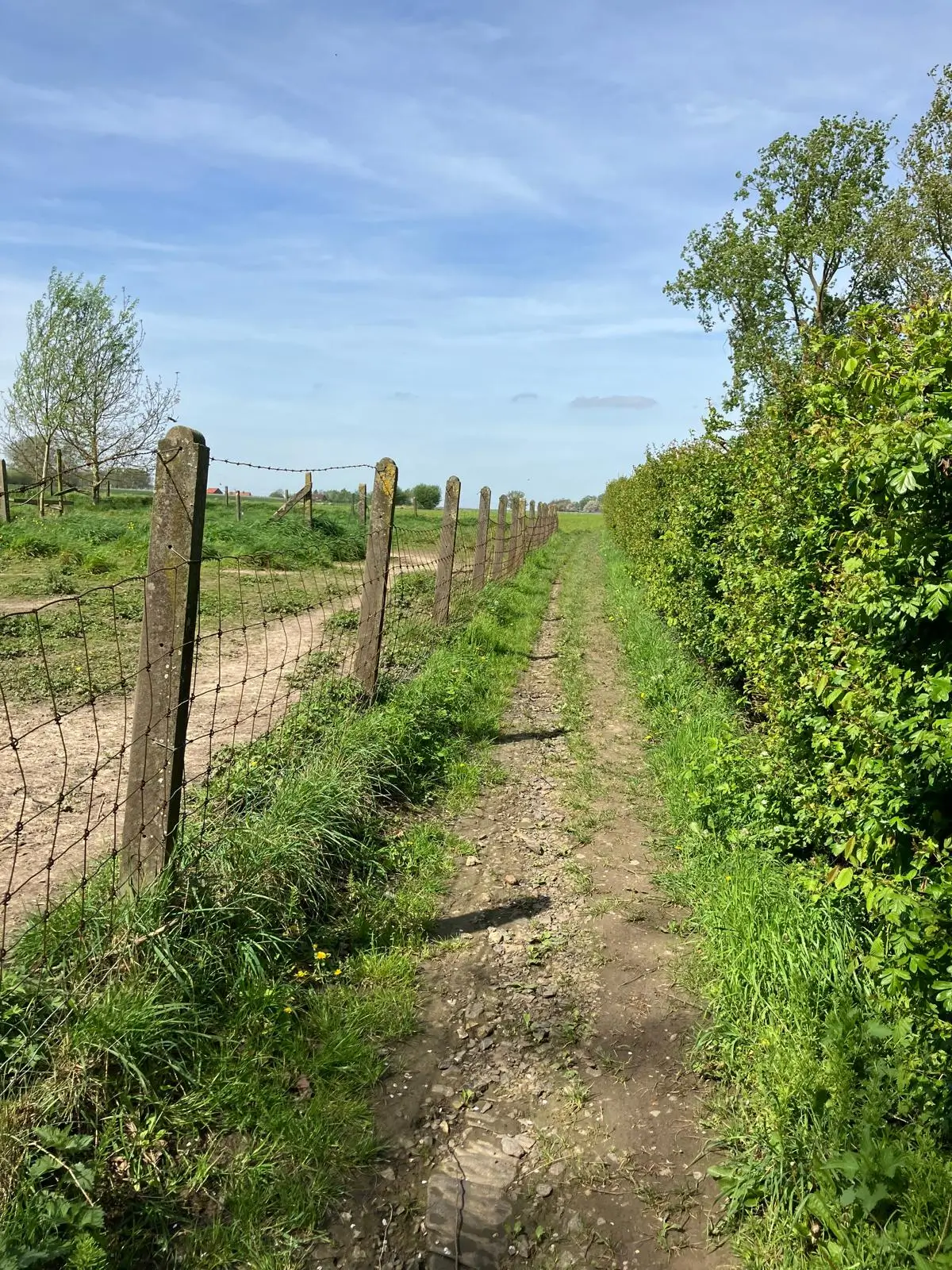 Wandeling afbeelding
