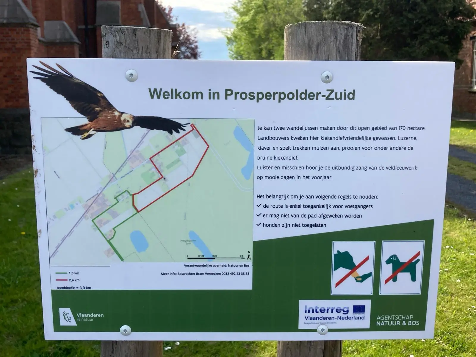 Wandeling afbeelding