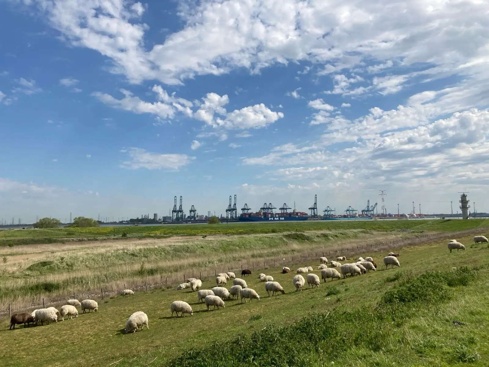 Wandeling afbeelding