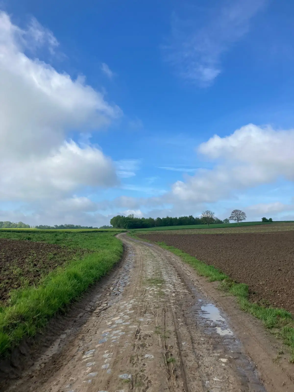 Wandeling afbeelding