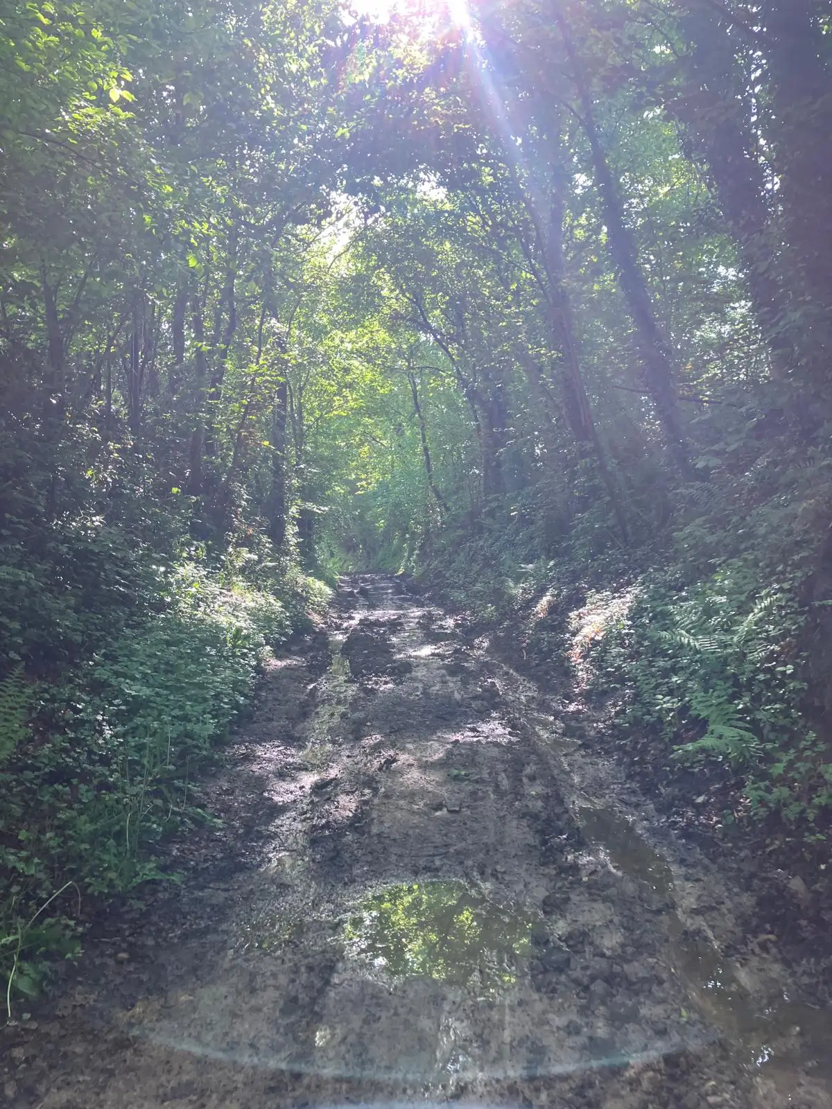 Wandeling afbeelding