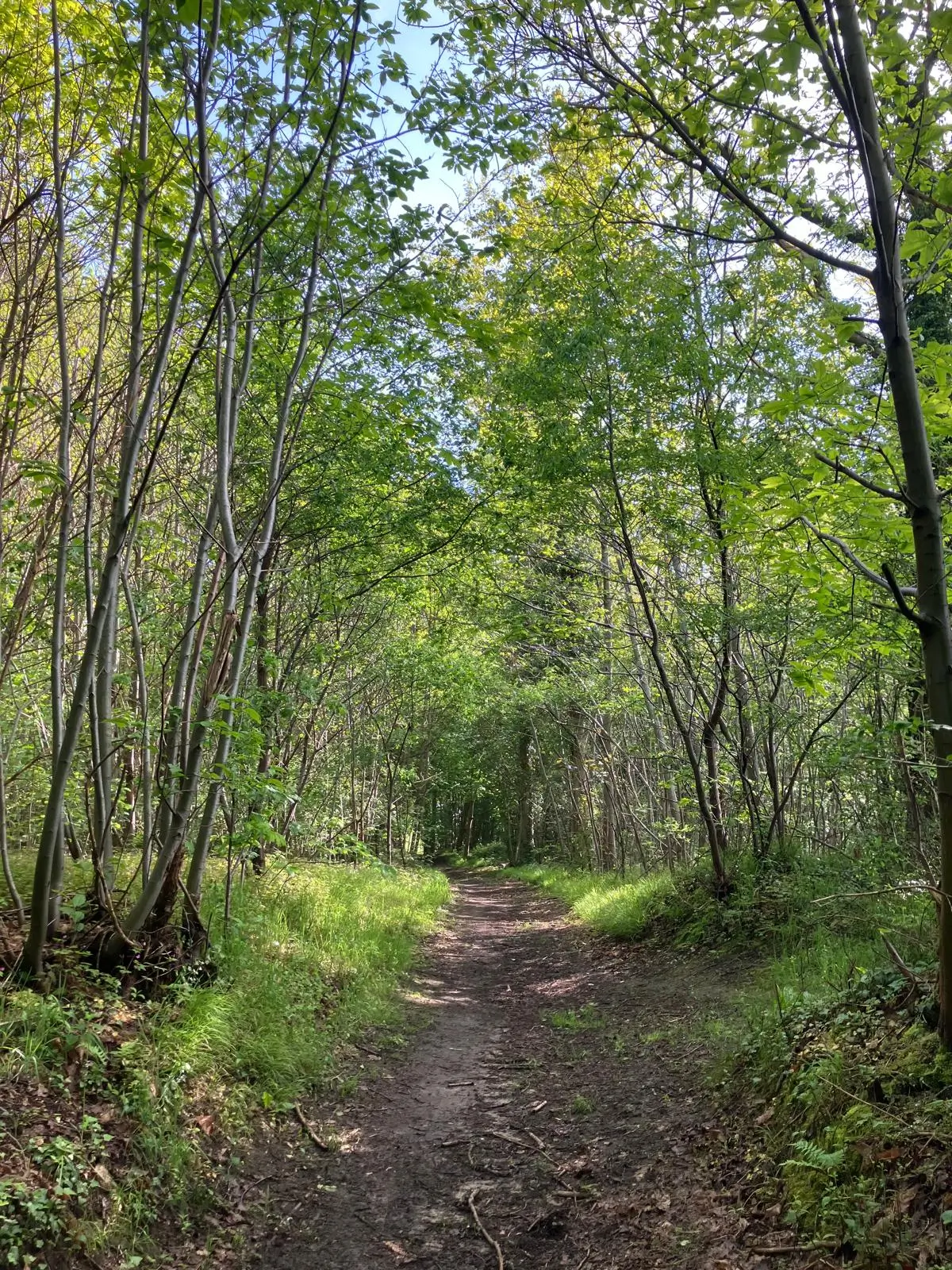 Wandeling afbeelding
