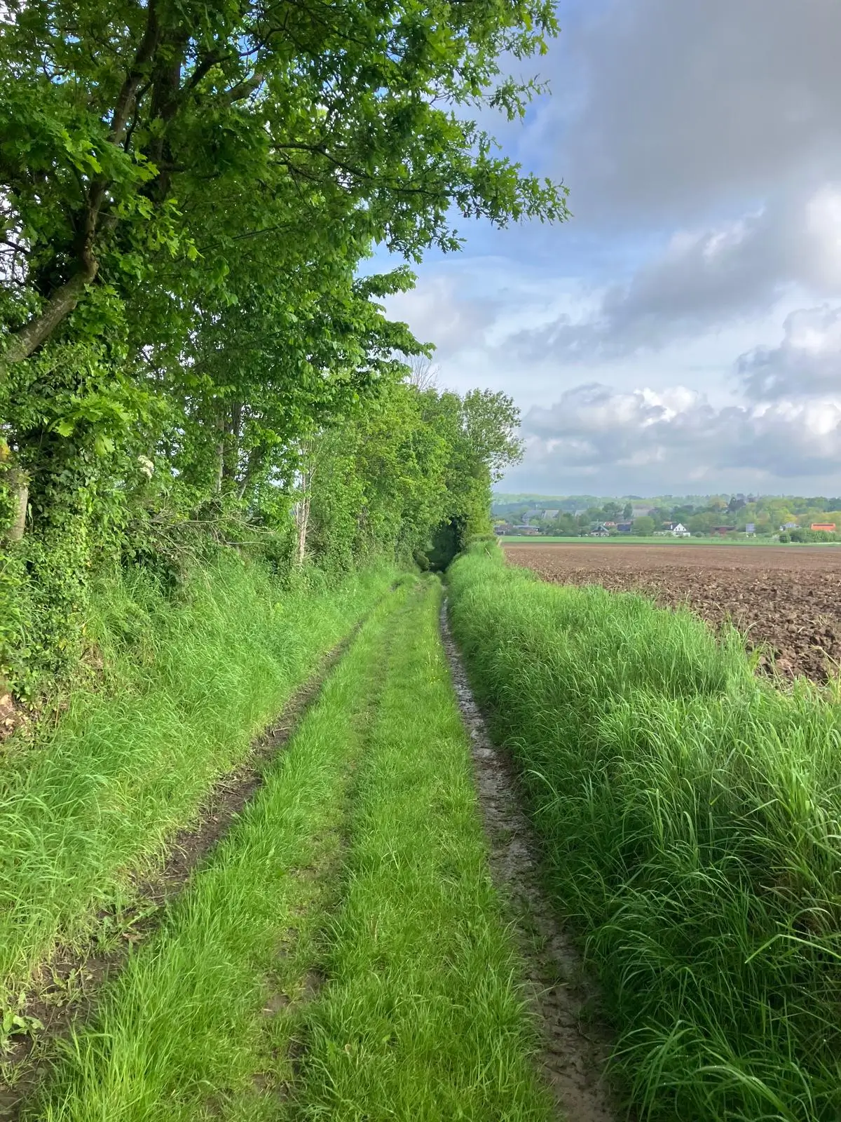 Wandeling afbeelding