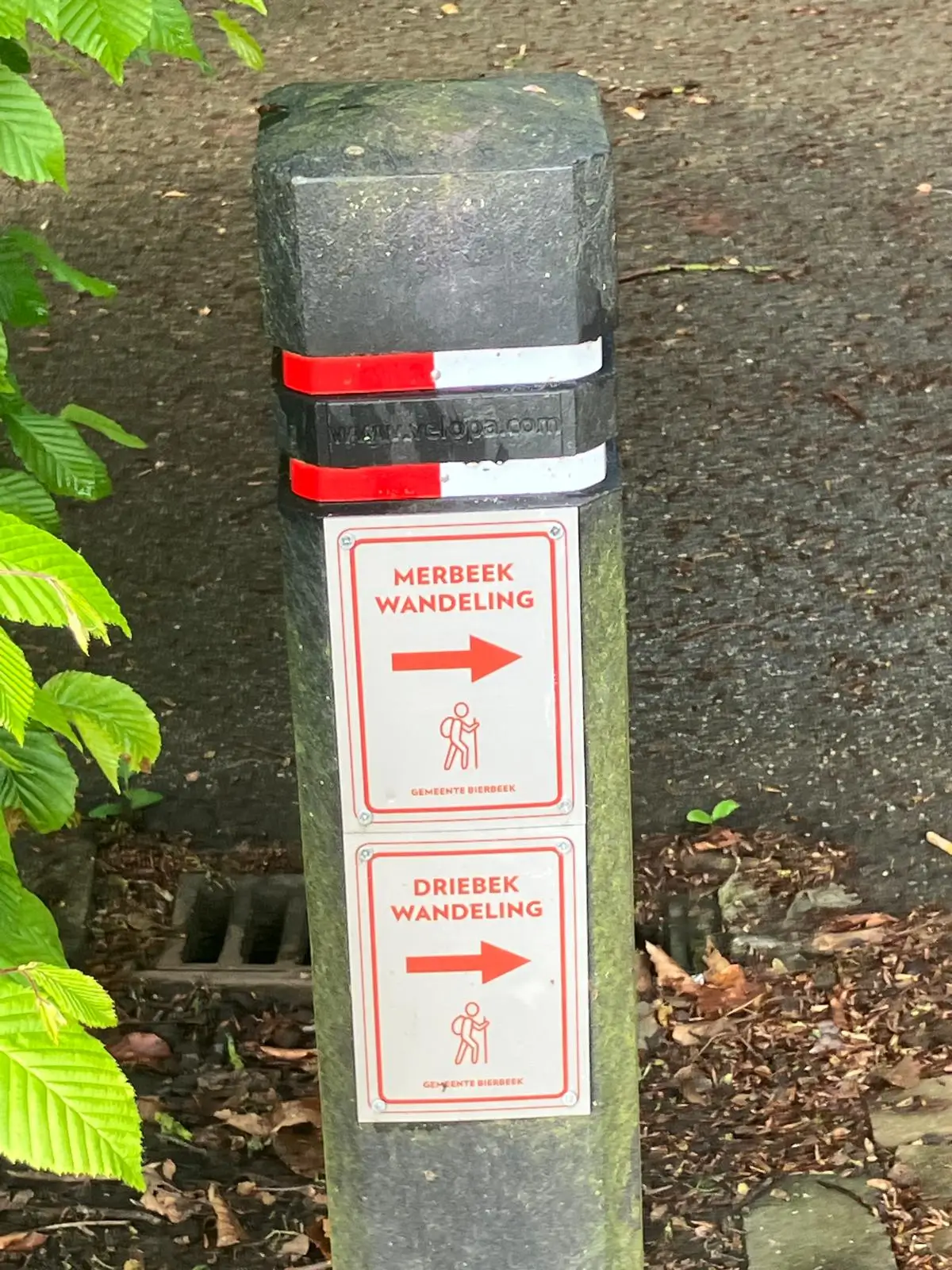 Wandeling afbeelding