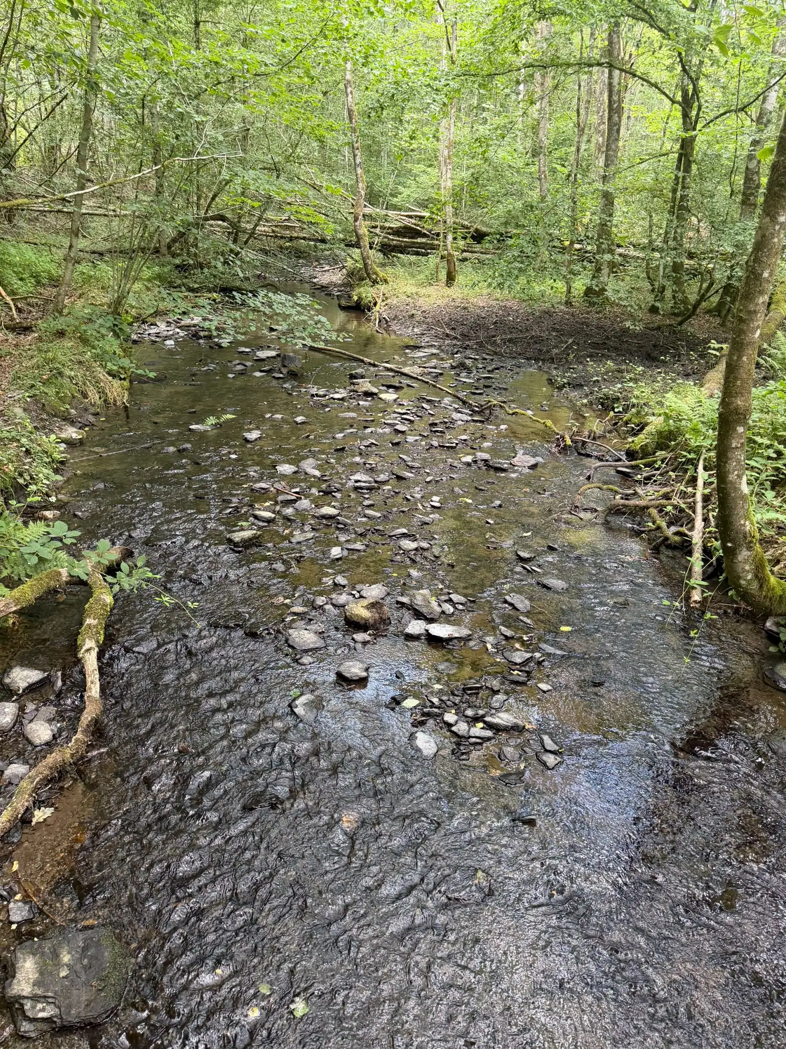 Wandeling afbeelding