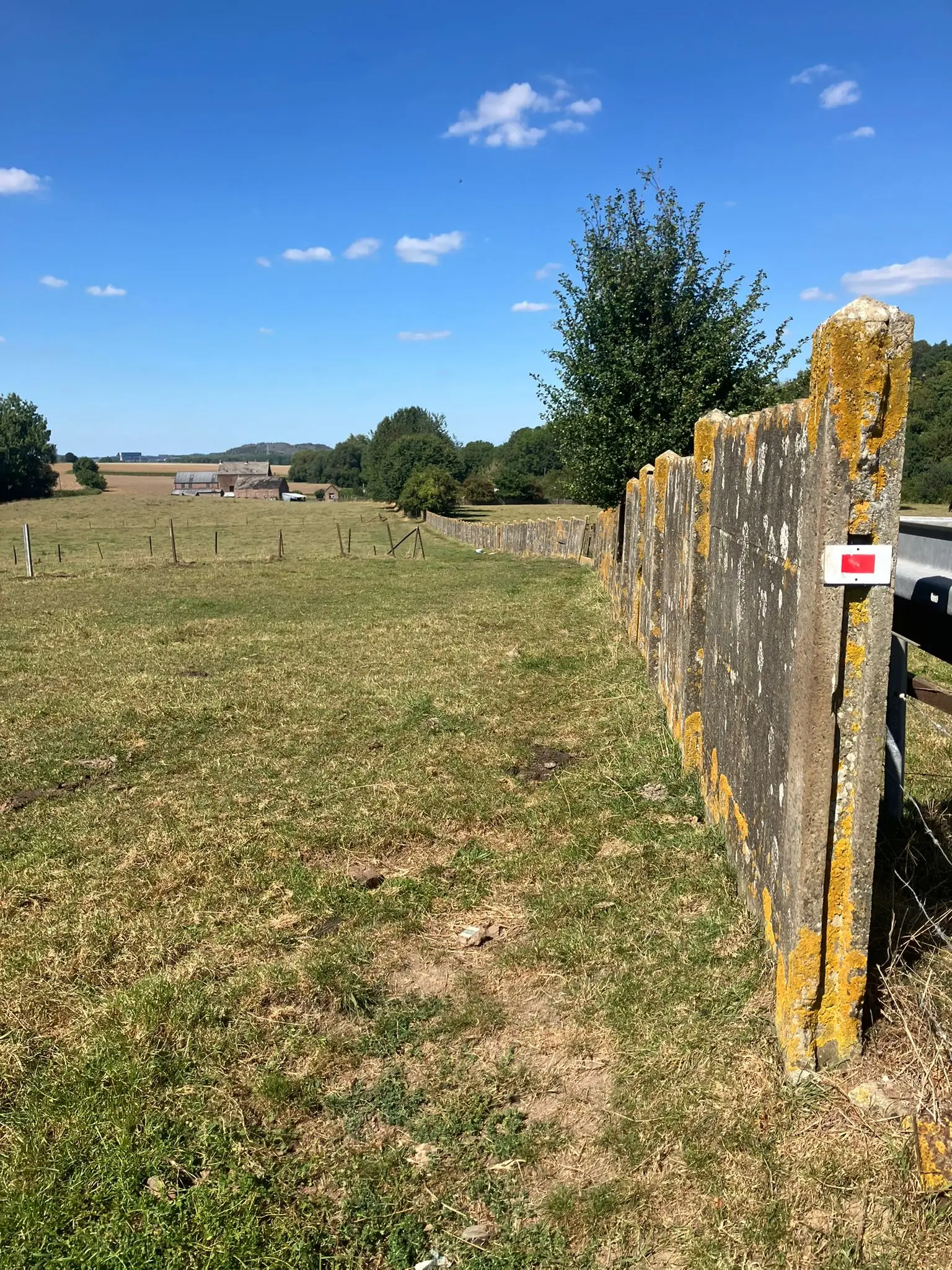 Wandeling afbeelding