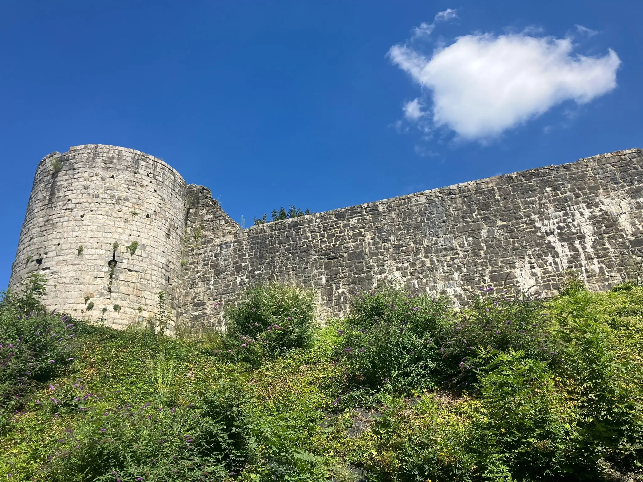 Wandeling afbeelding