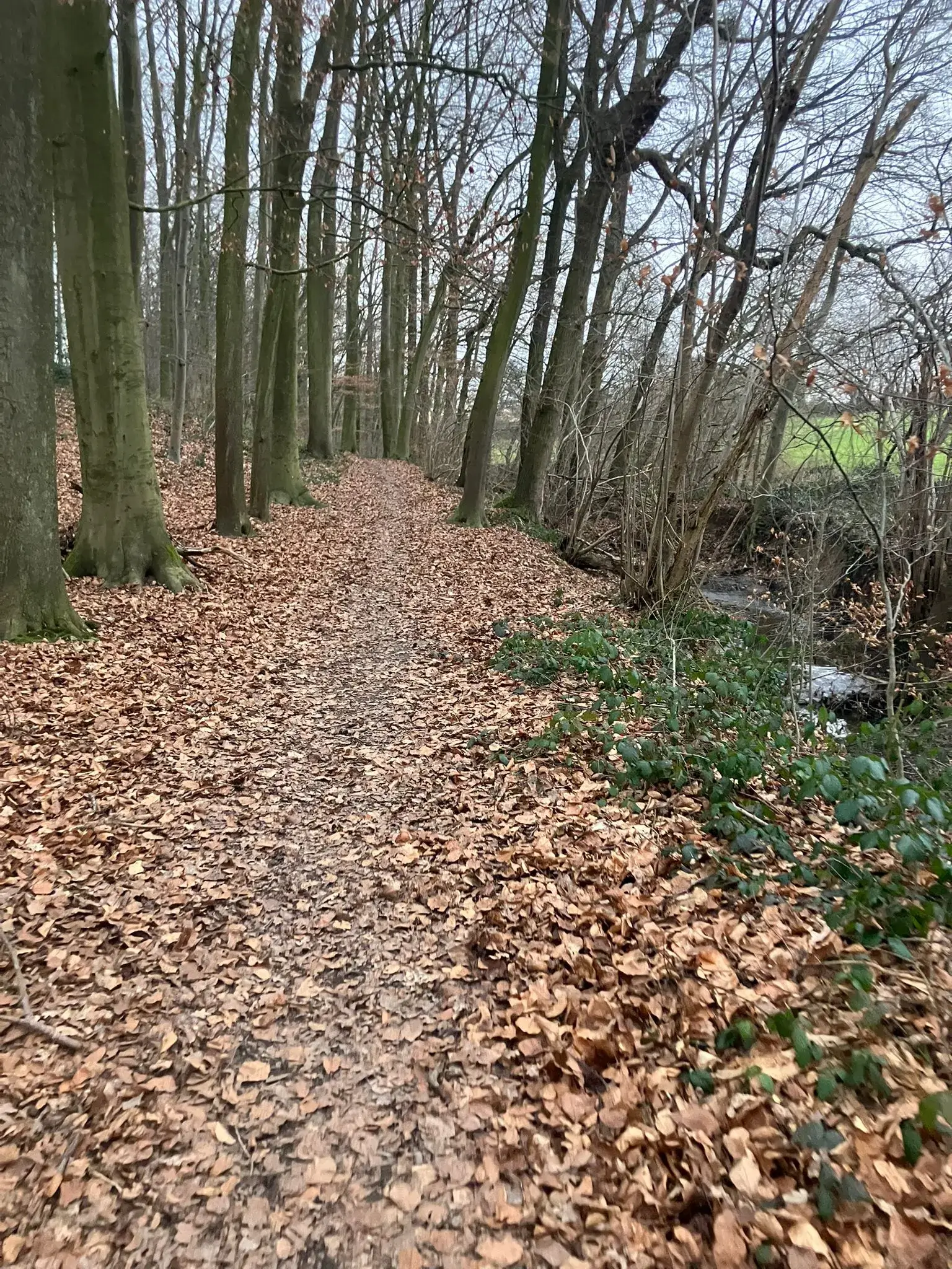 Wandeling afbeelding