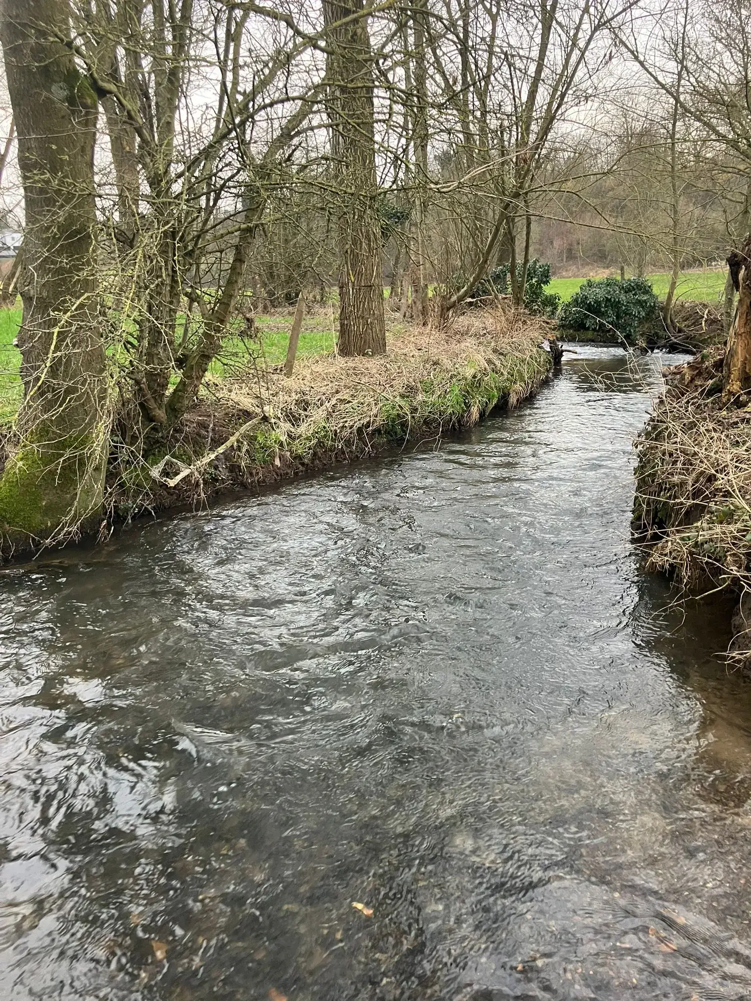Wandeling afbeelding