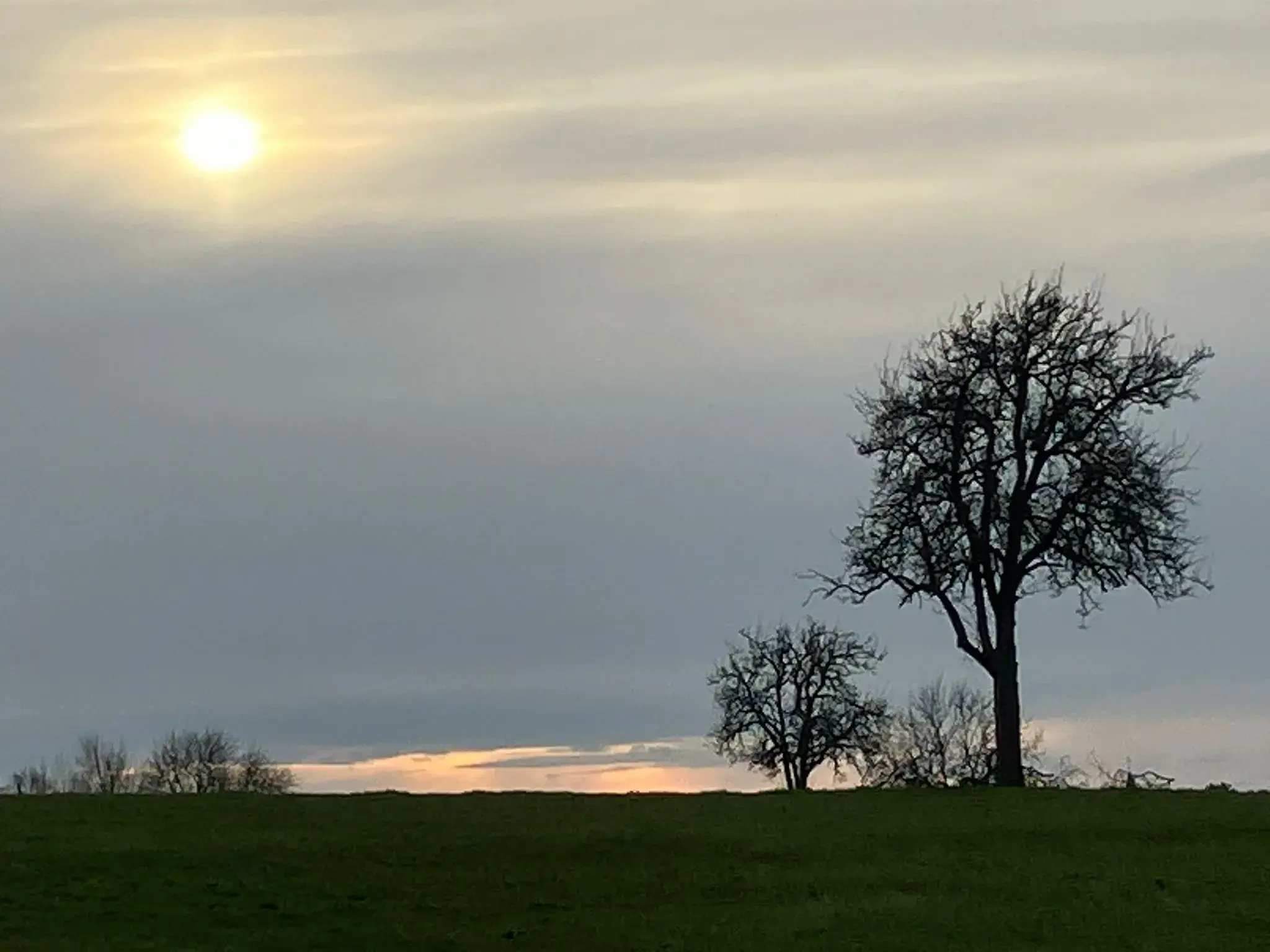 Wandeling afbeelding
