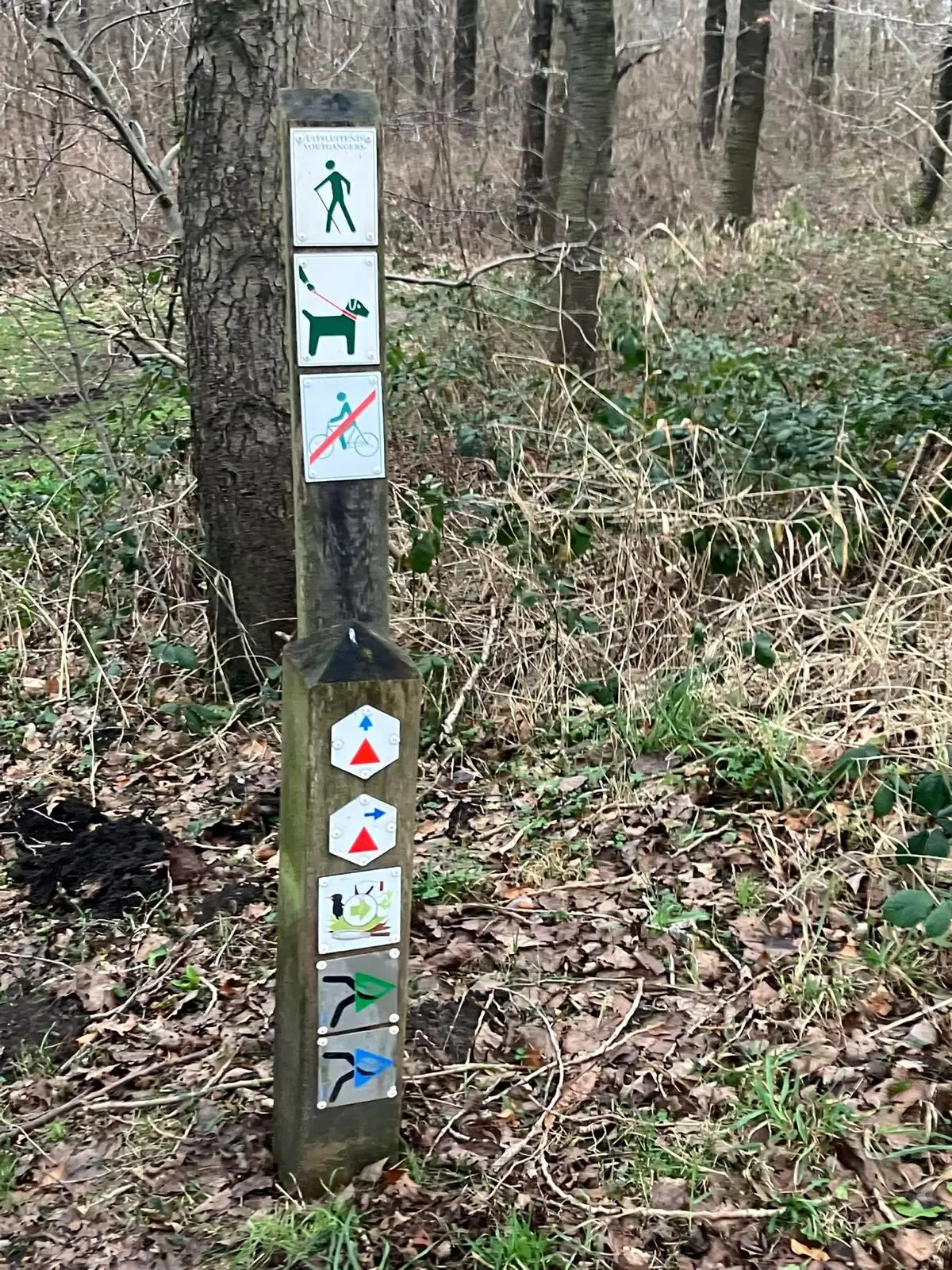Wandeling afbeelding