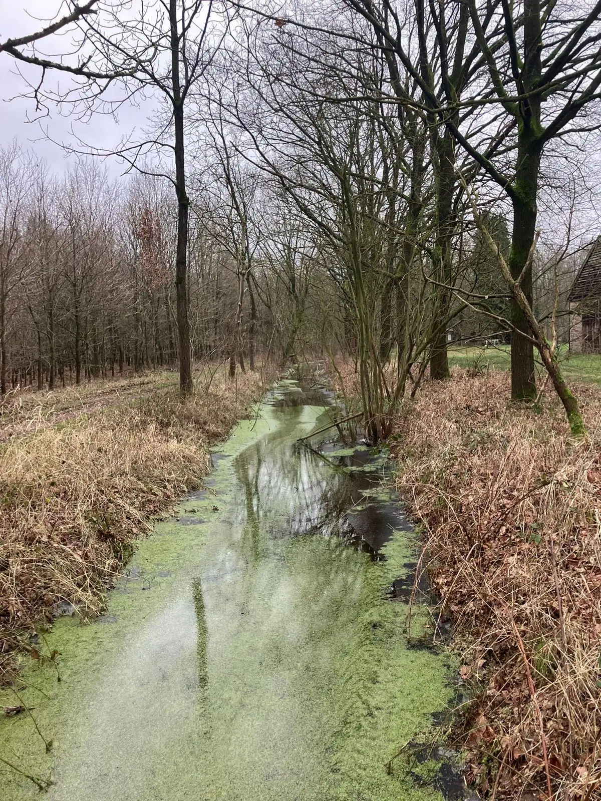 Wandeling afbeelding