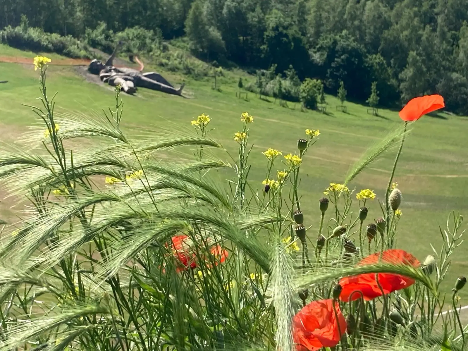 Wandeling afbeelding